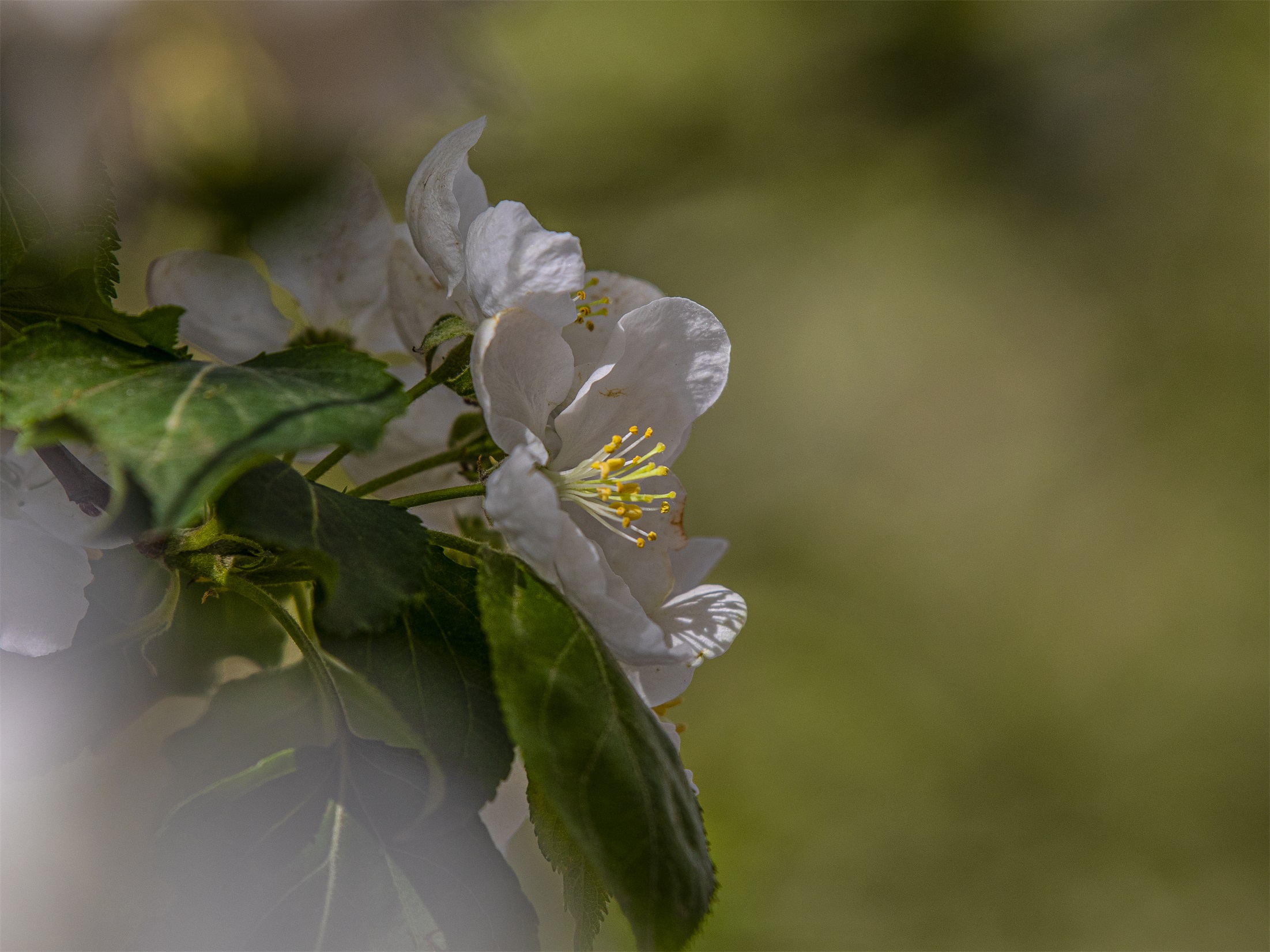 CY4A8438 ����1.jpg