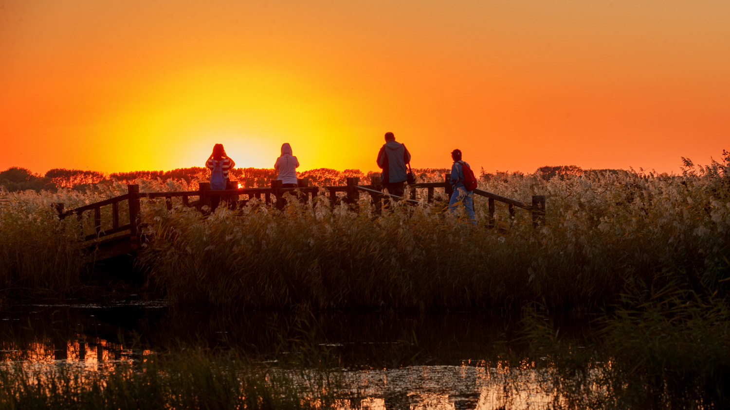 AQ9I1188 ����.jpg