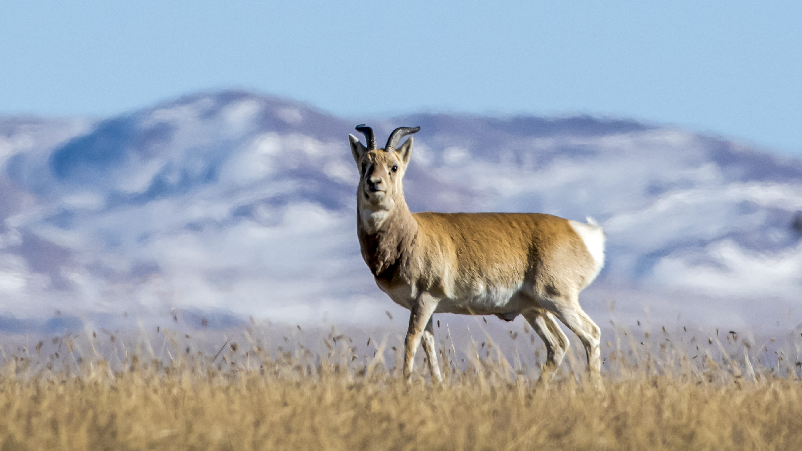 _DSC2317 - ����.jpg