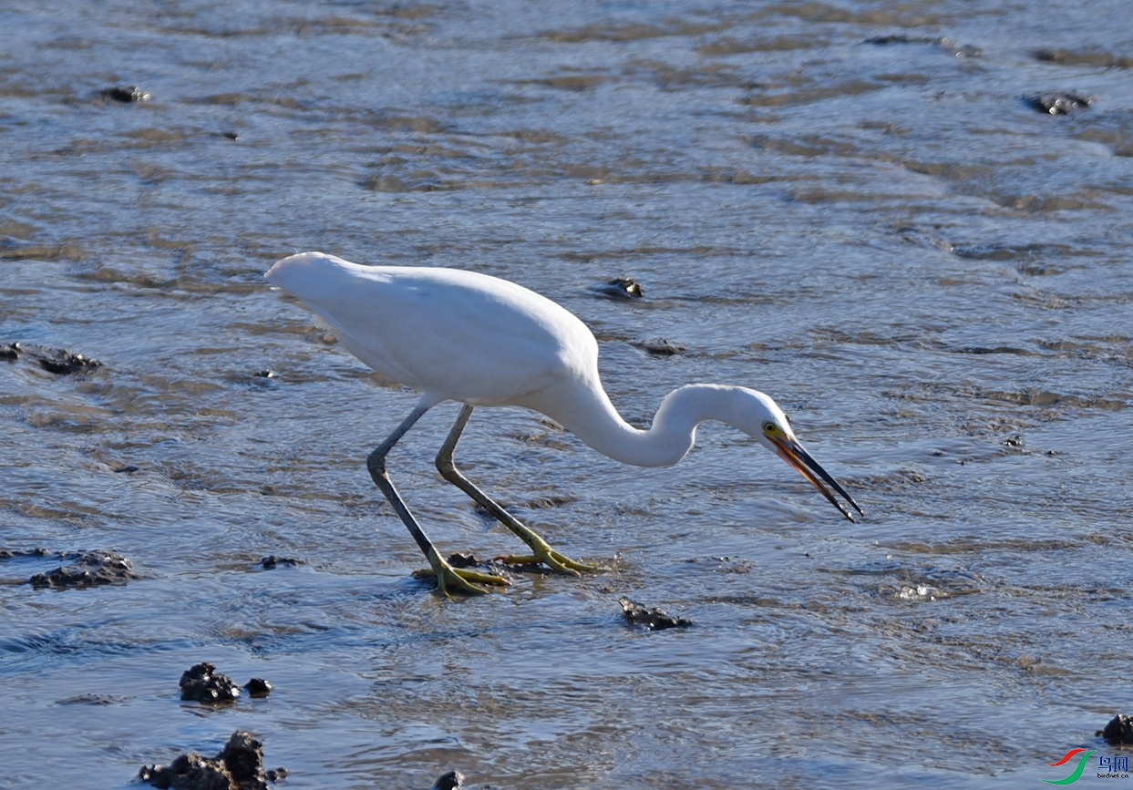 DSC_9111��Ŀ��.jpg