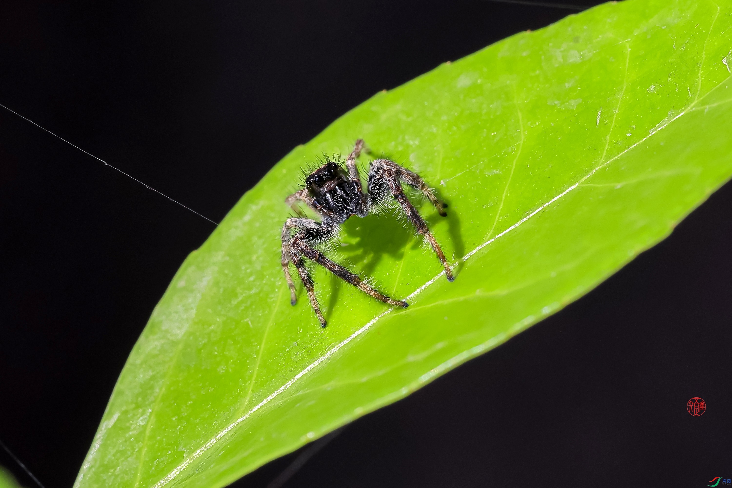 _23_6502 ����.jpg