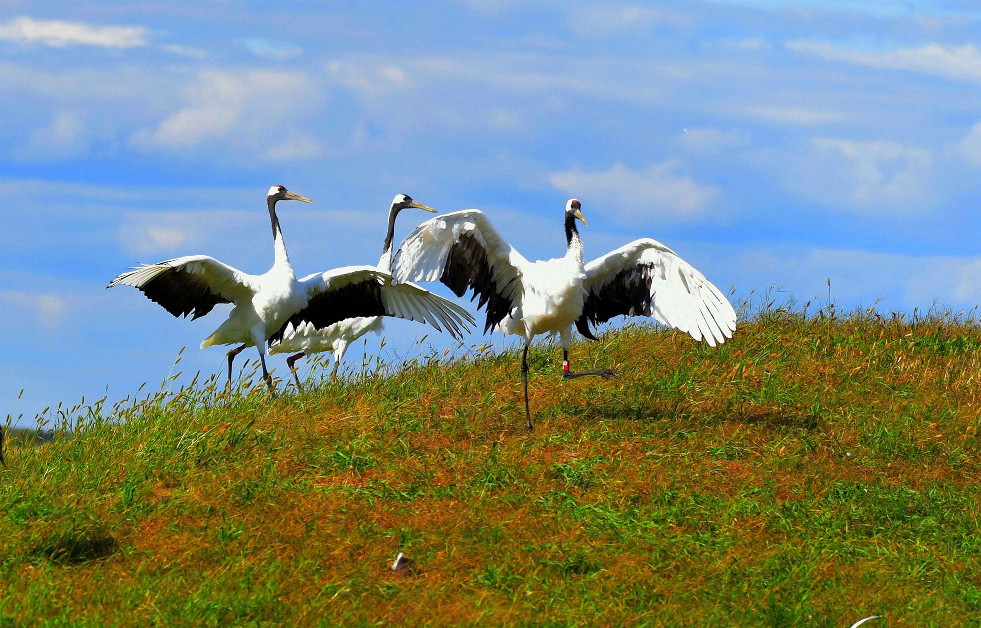 ��֮������