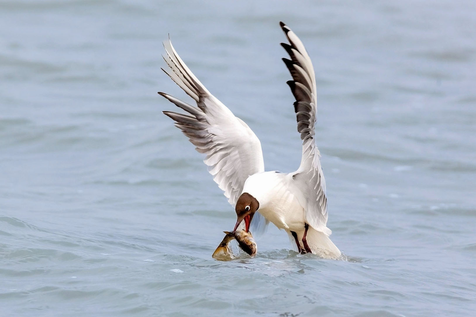 281V1804 ���� 7.jpg