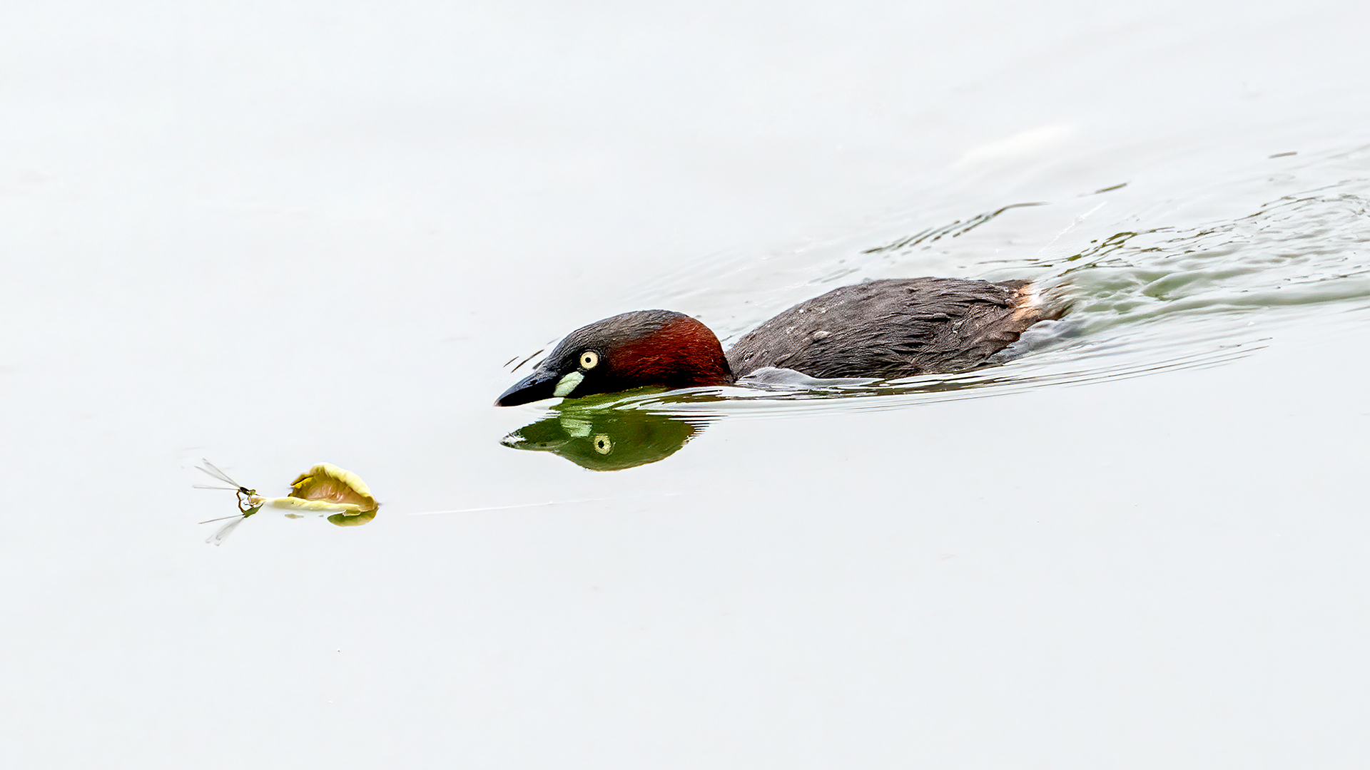 DSC_7742-9.jpg