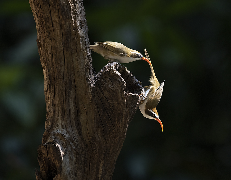 2F5A2303 ����.jpg2.jpg