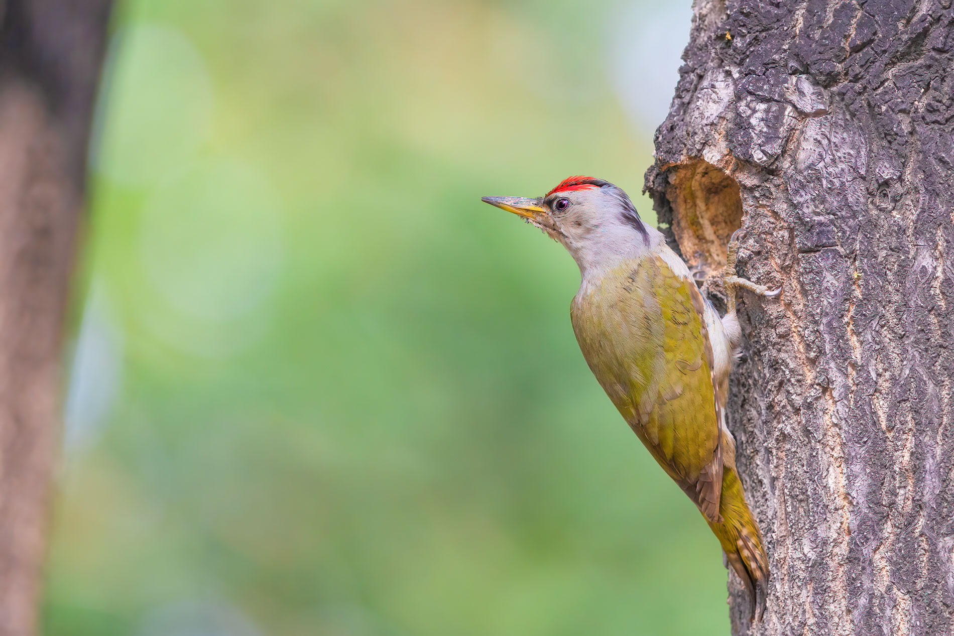 AQ4P0229-1.jpg