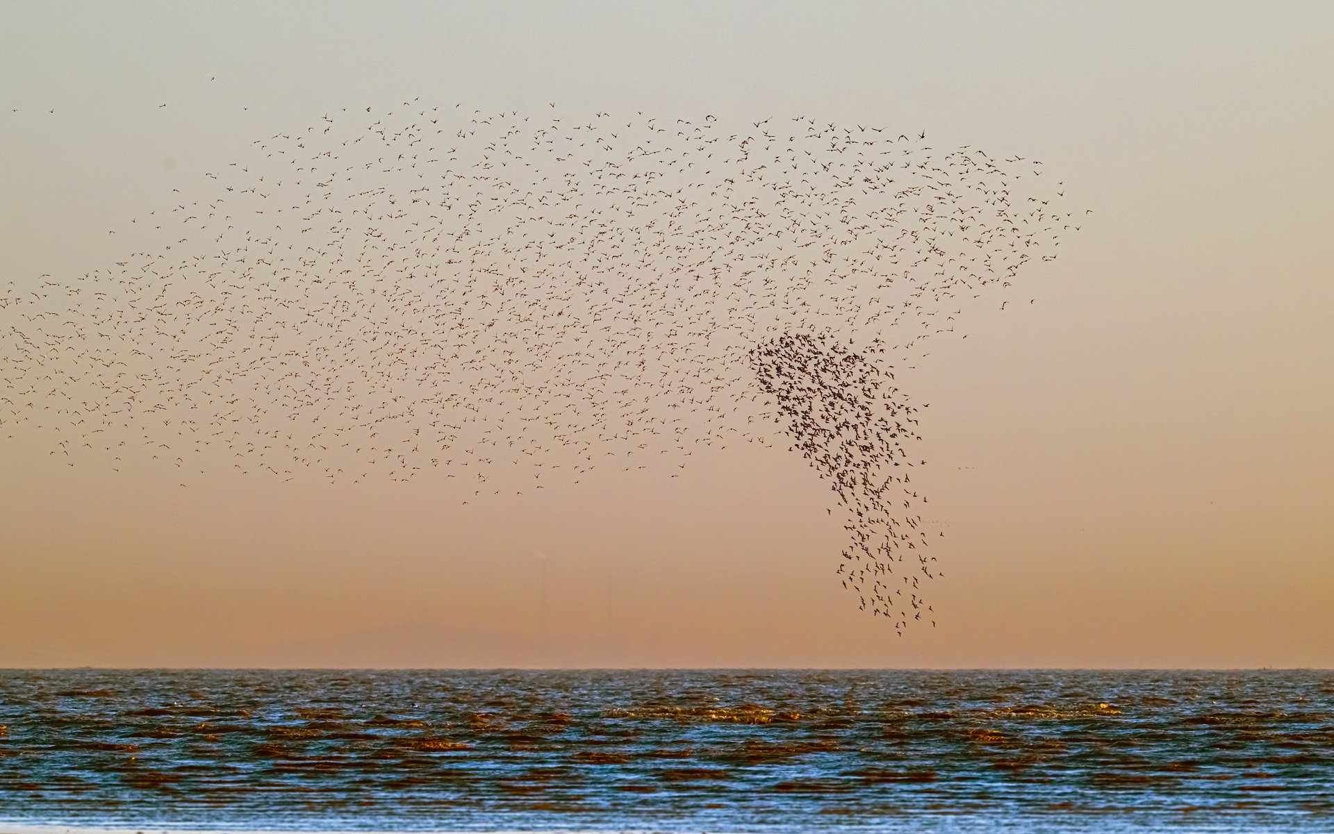 DSC_3686==2w.jpg