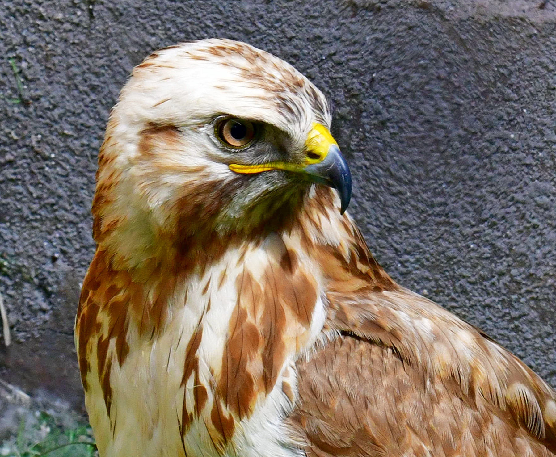 DSC_5361.jpg