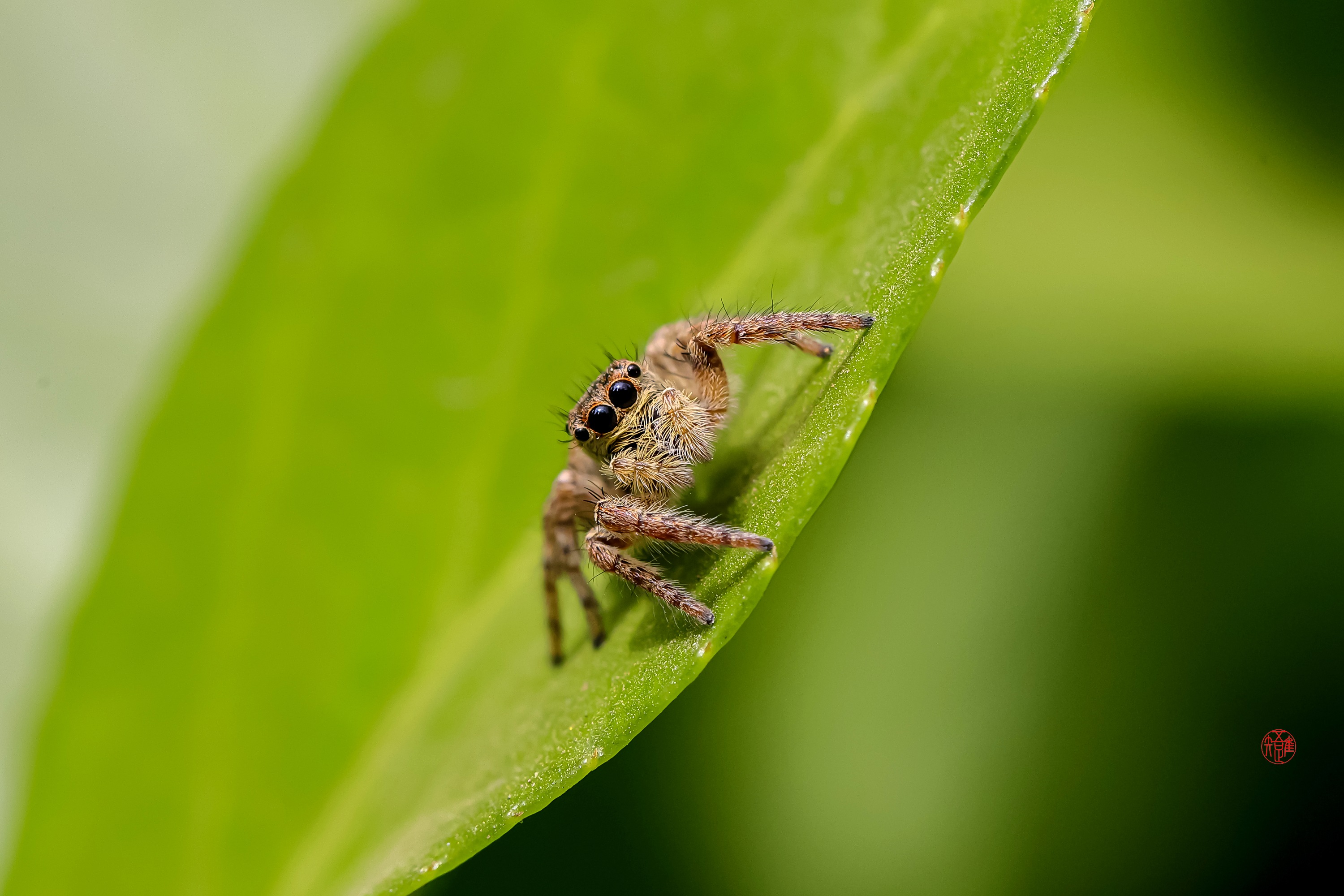 _23_2792 ����.jpg