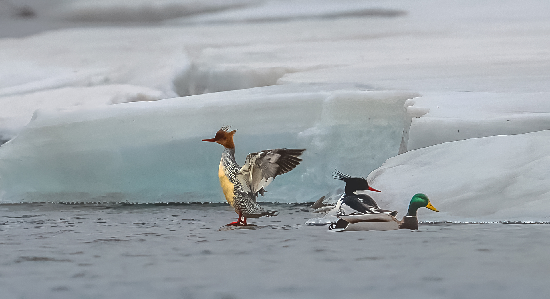 DSC_2826==1w.jpg