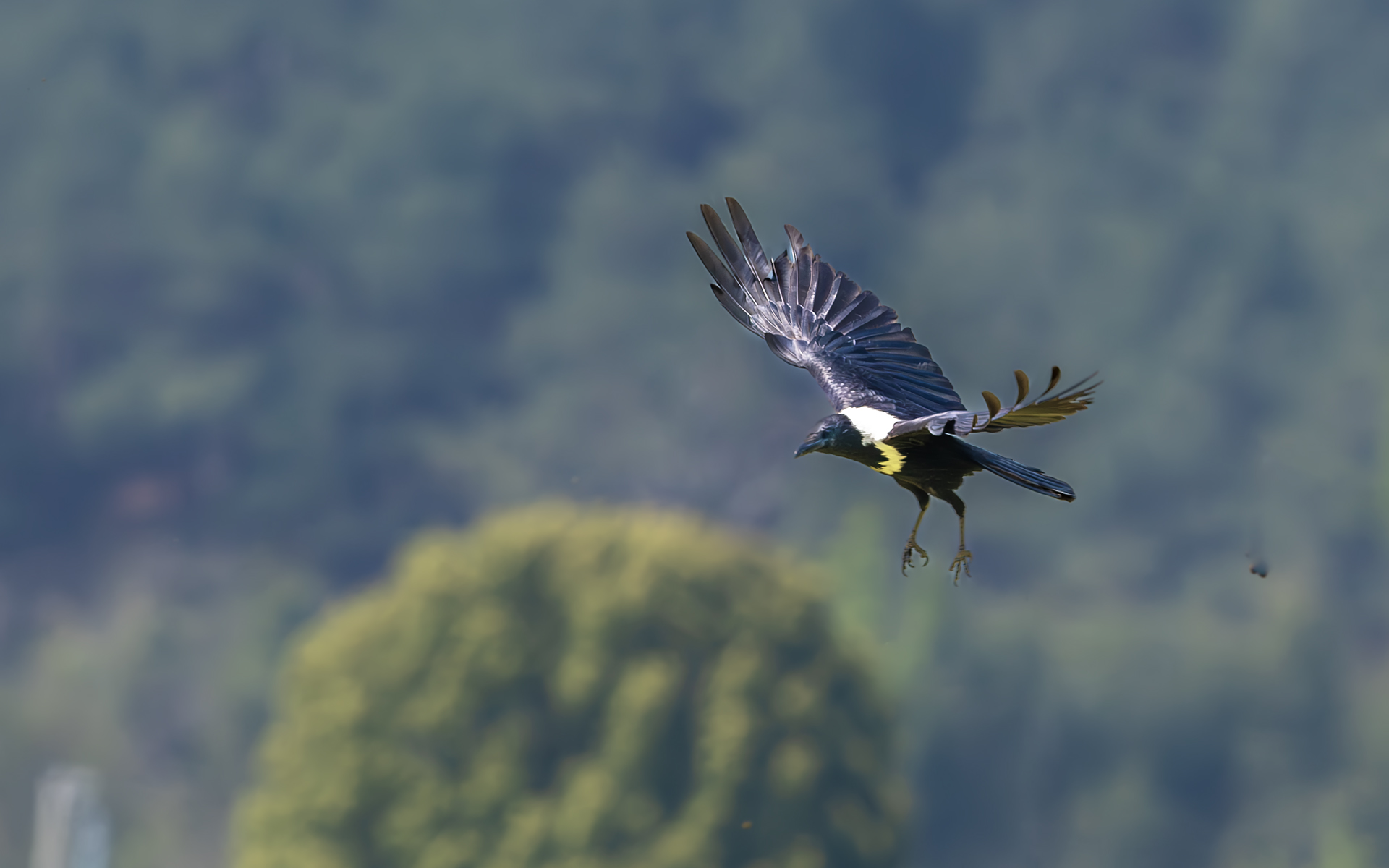 DSC_6254-����ǿ-NR ͼ6.jpg