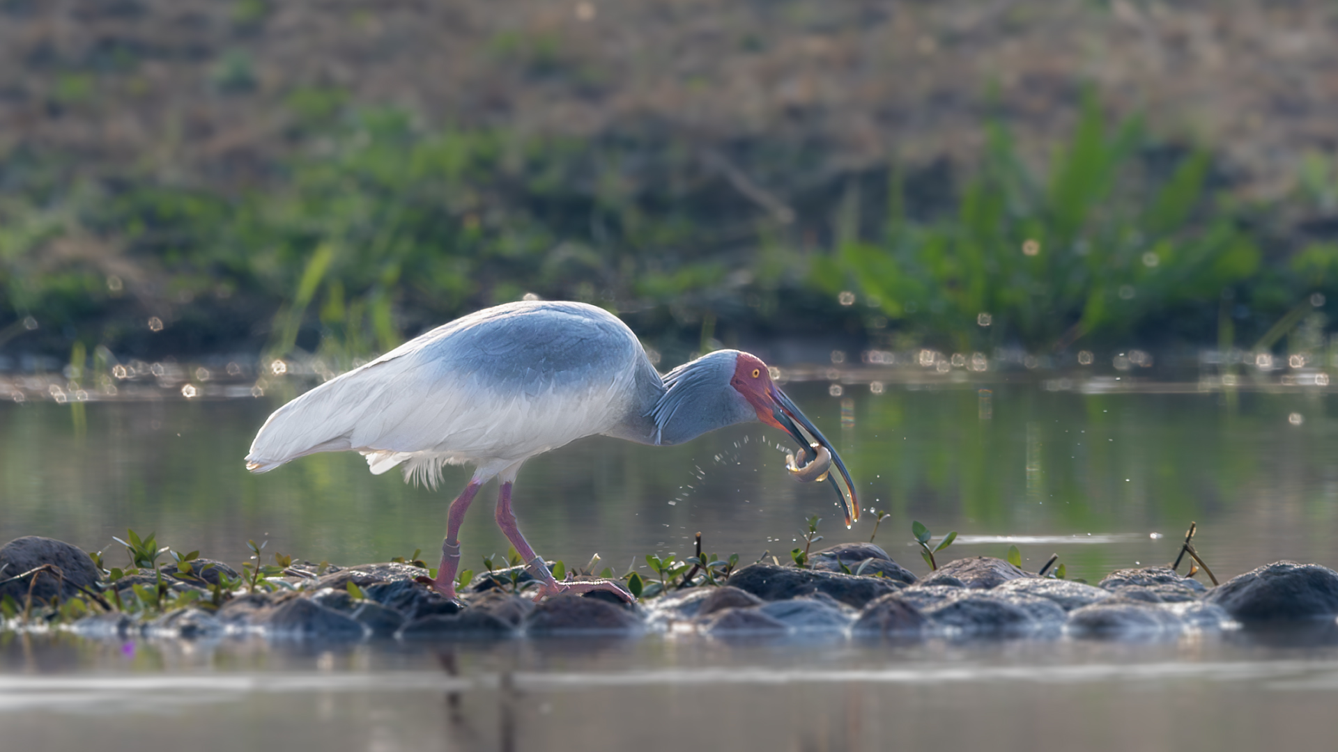 DSC_7881-����ǿ-NR ͼ16.jpg