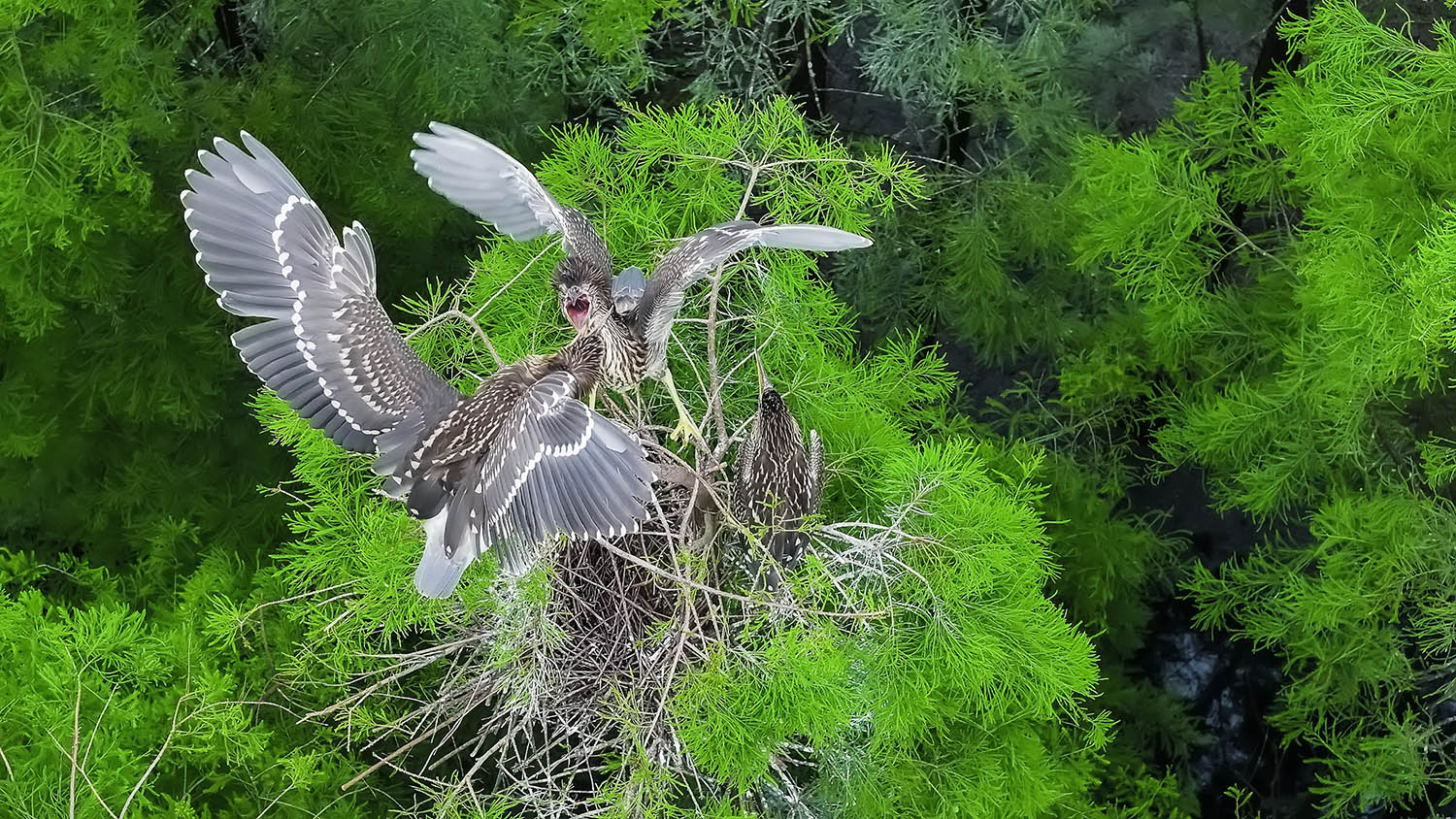 DJI_20230507102240_0023_D.jpg
