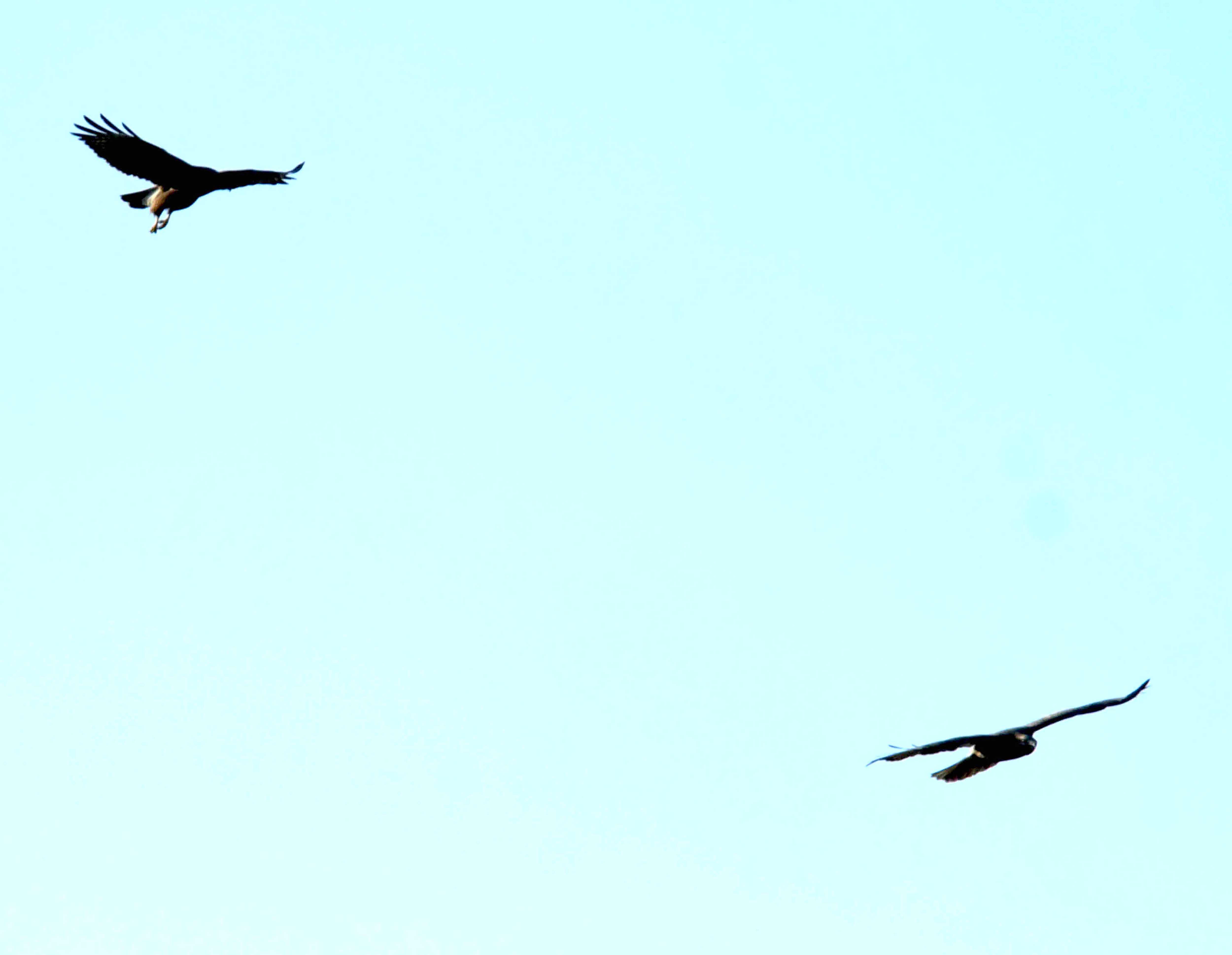 DSC_0917.JPG