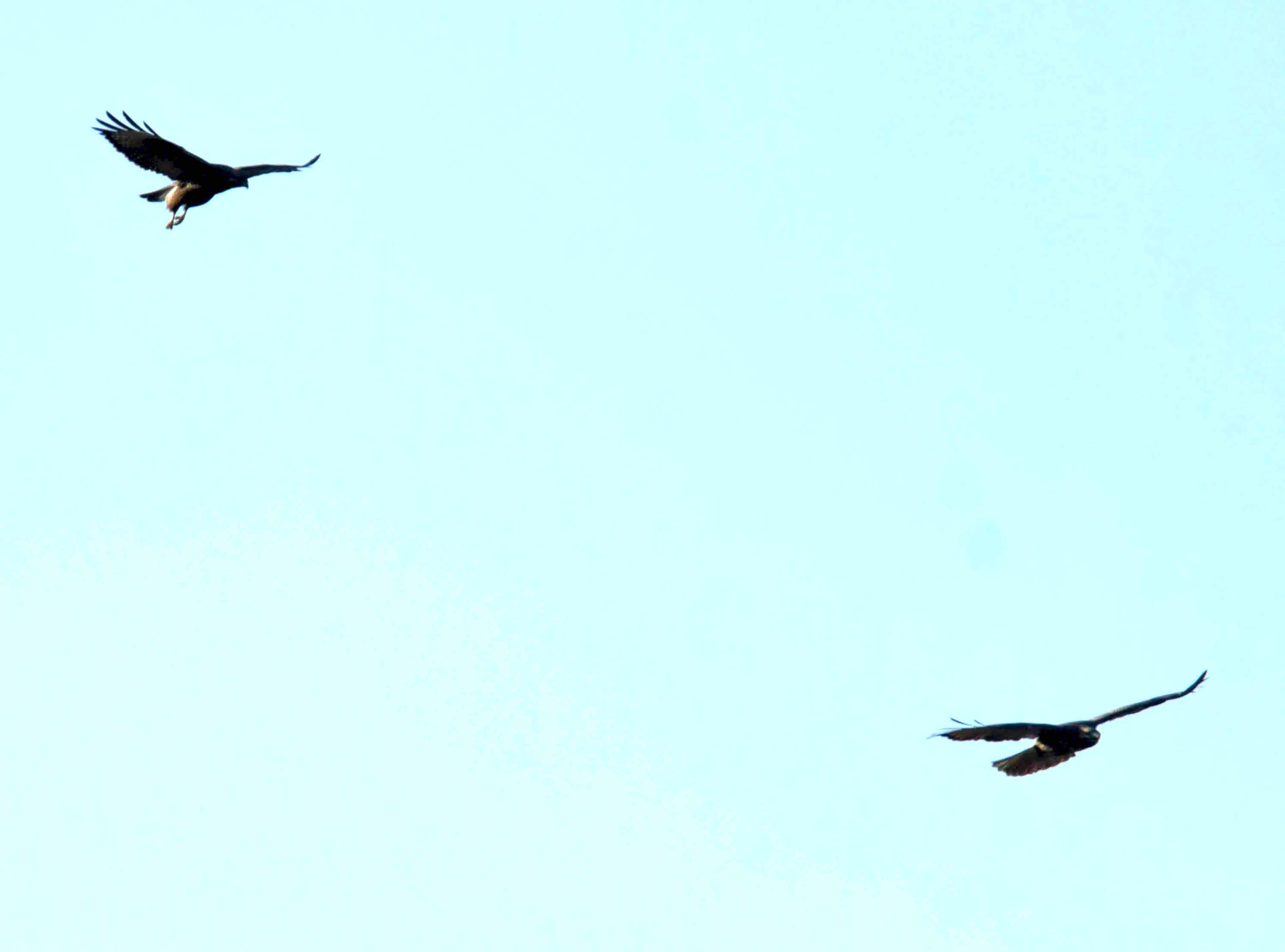 DSC_0916.JPG