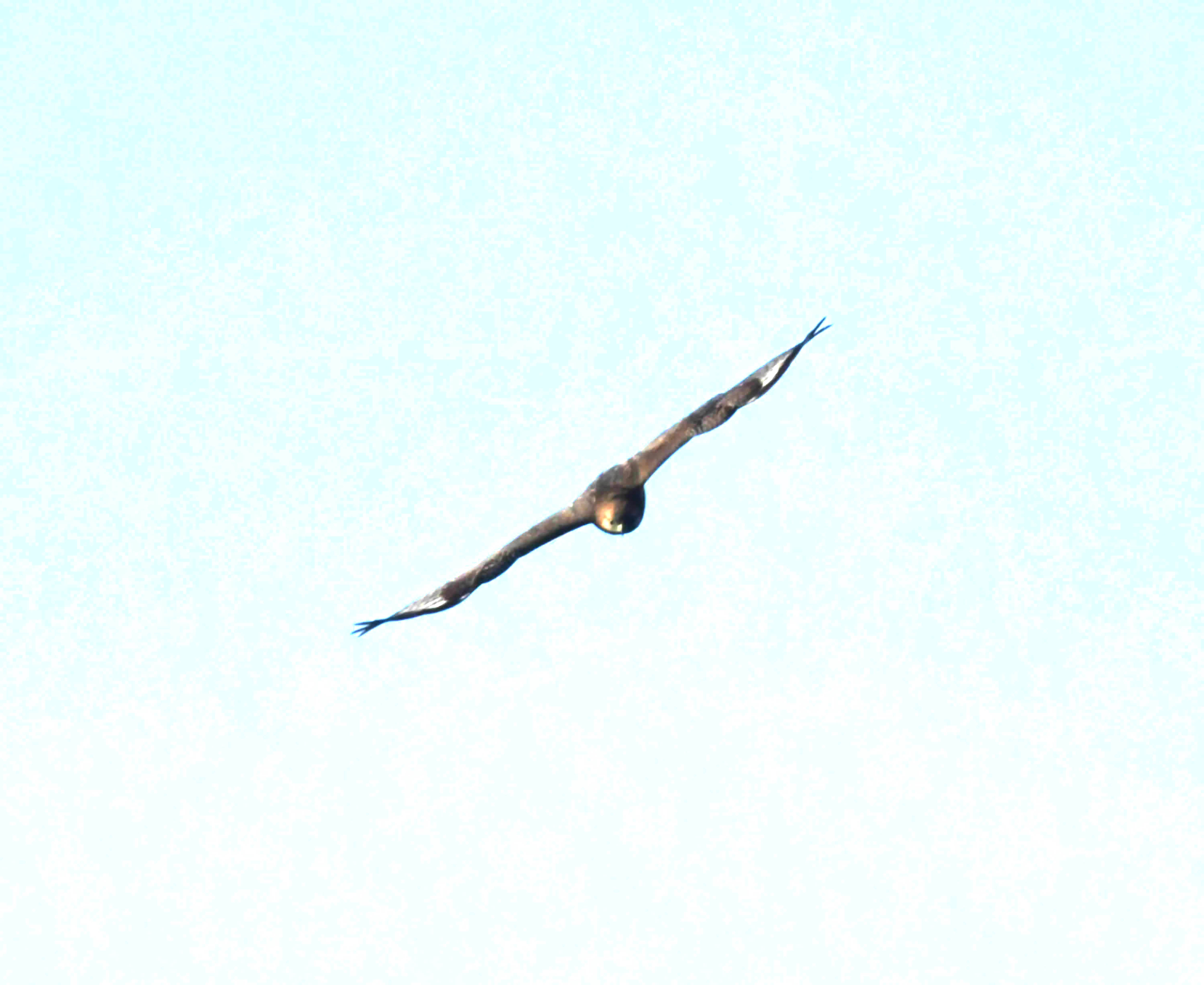 DSC_0891.JPG