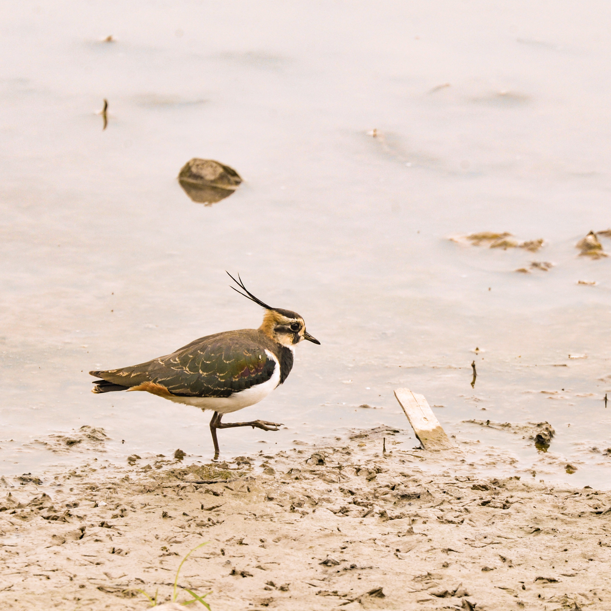 DSC_5073 - ����.jpg