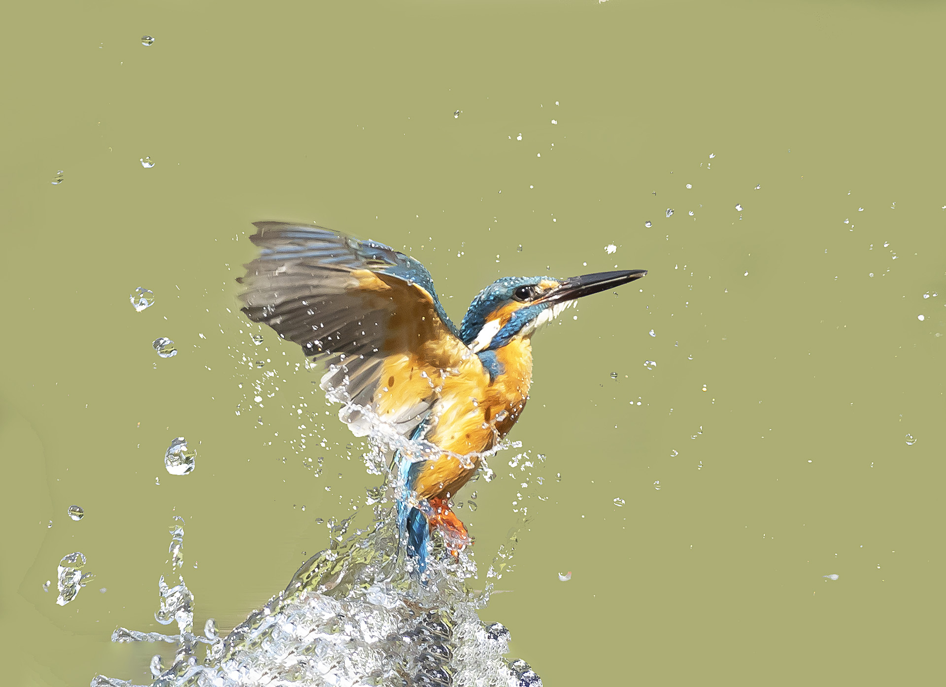 019A3358 ����.jpg