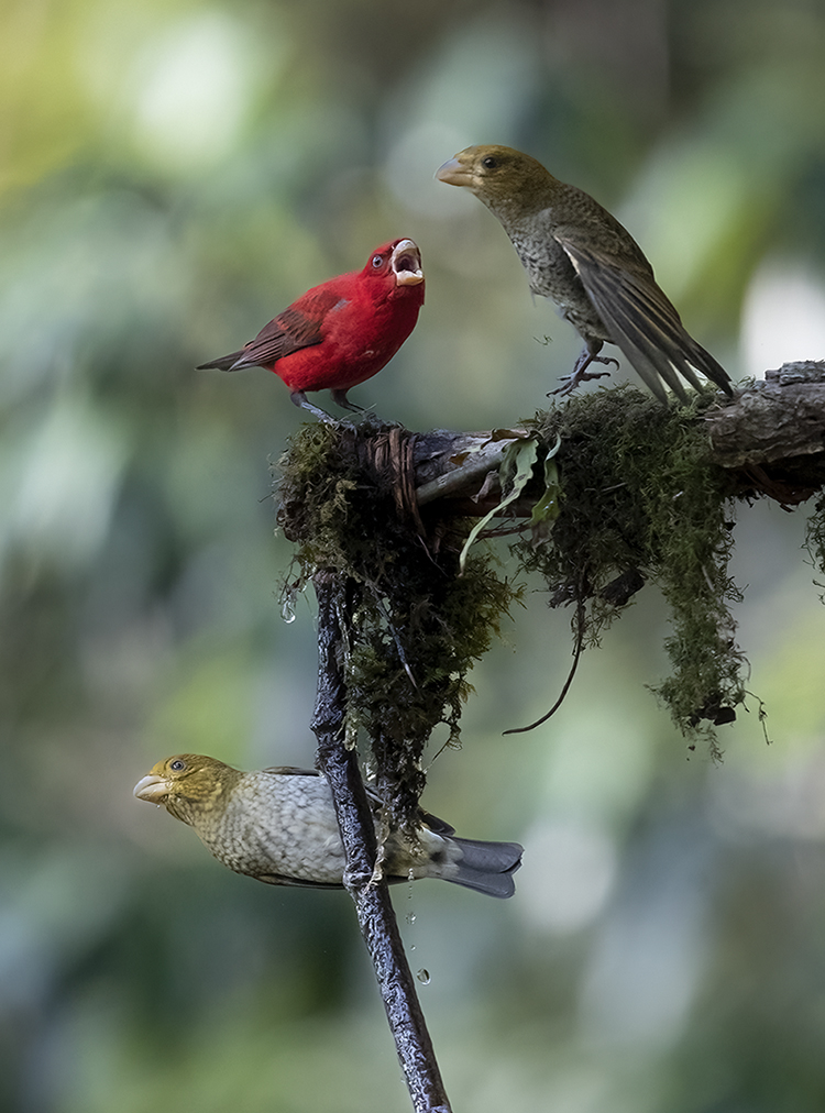 A46I3371 ����.jpg2.jpg