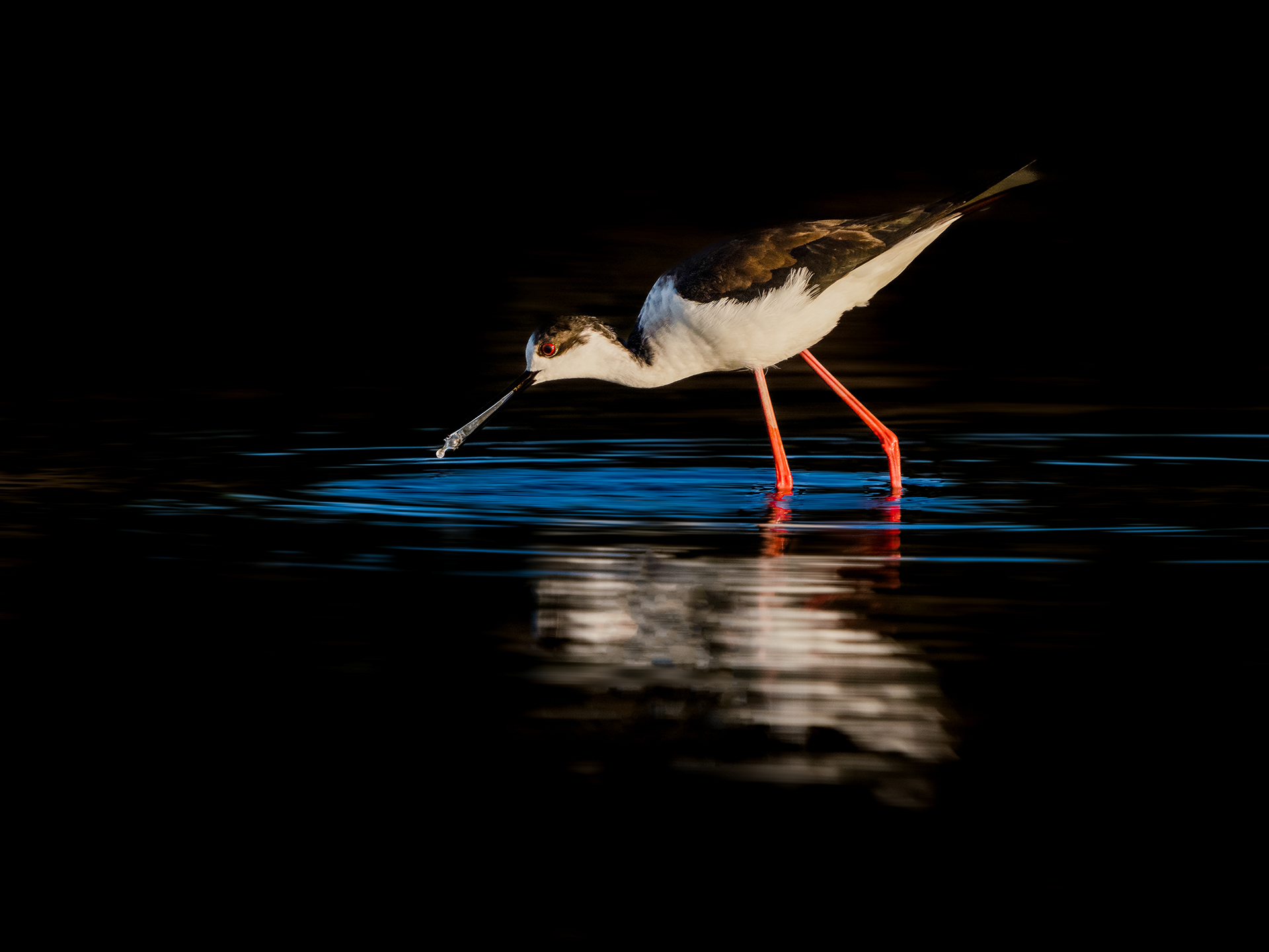 _DSC5524 ����.jpg