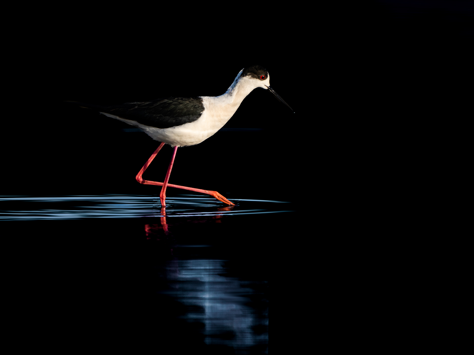 _DSC5195 ����.jpg