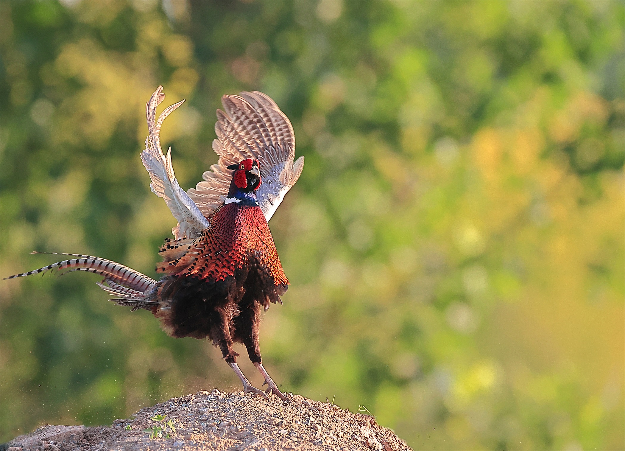 3 ���� - ���� (4).jpg