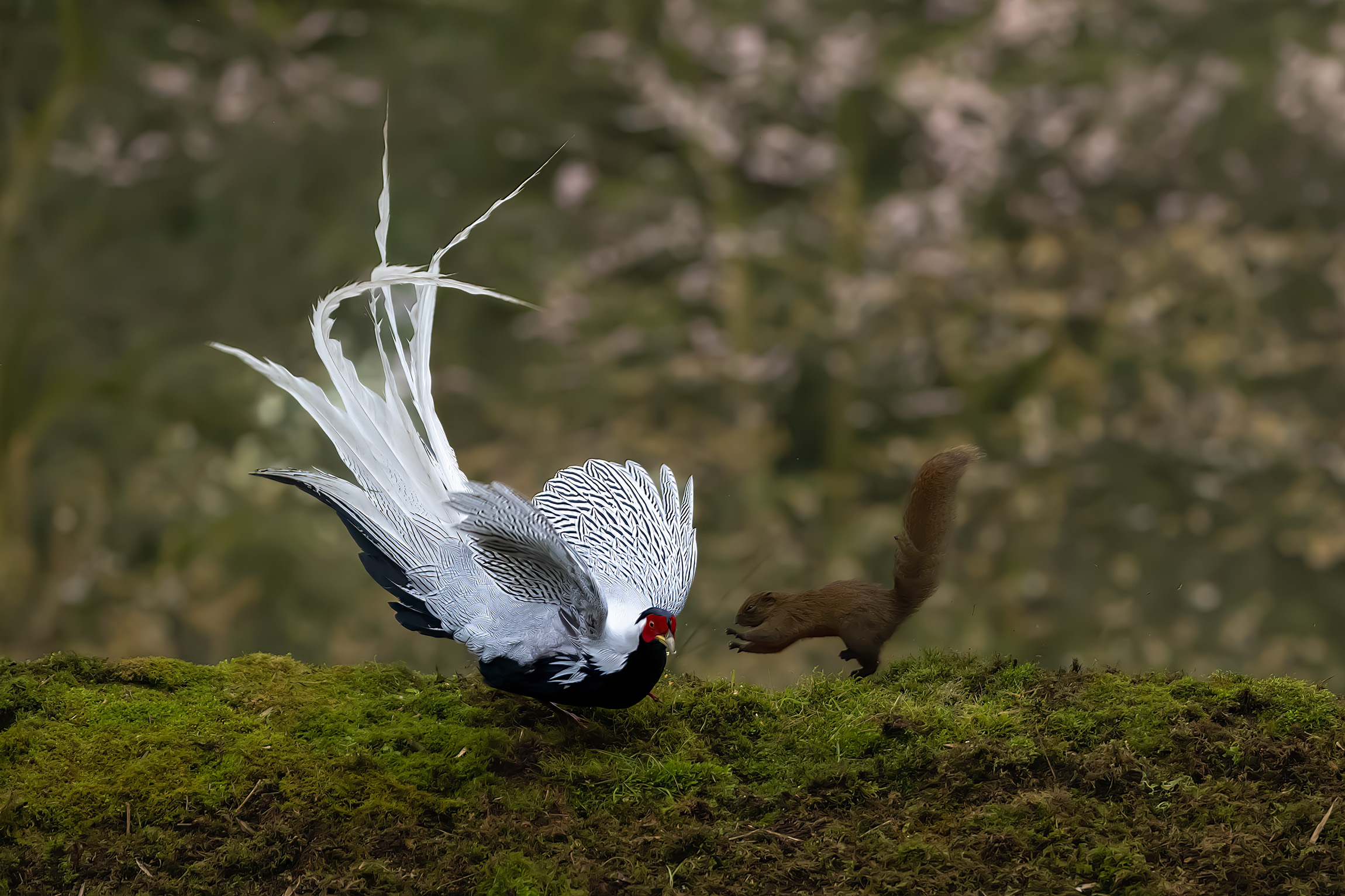DSC_4868-2.jpg