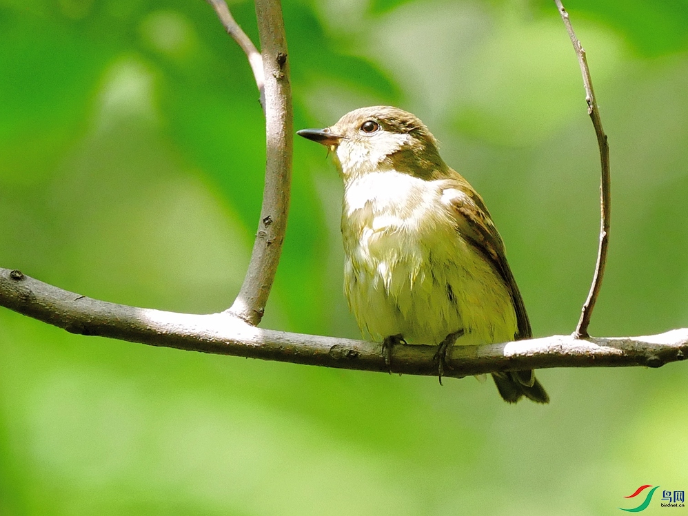 P9600059 - ����.JPG