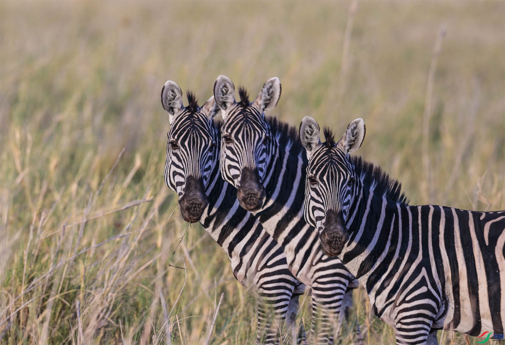 ���������İ���5 ����.jpg