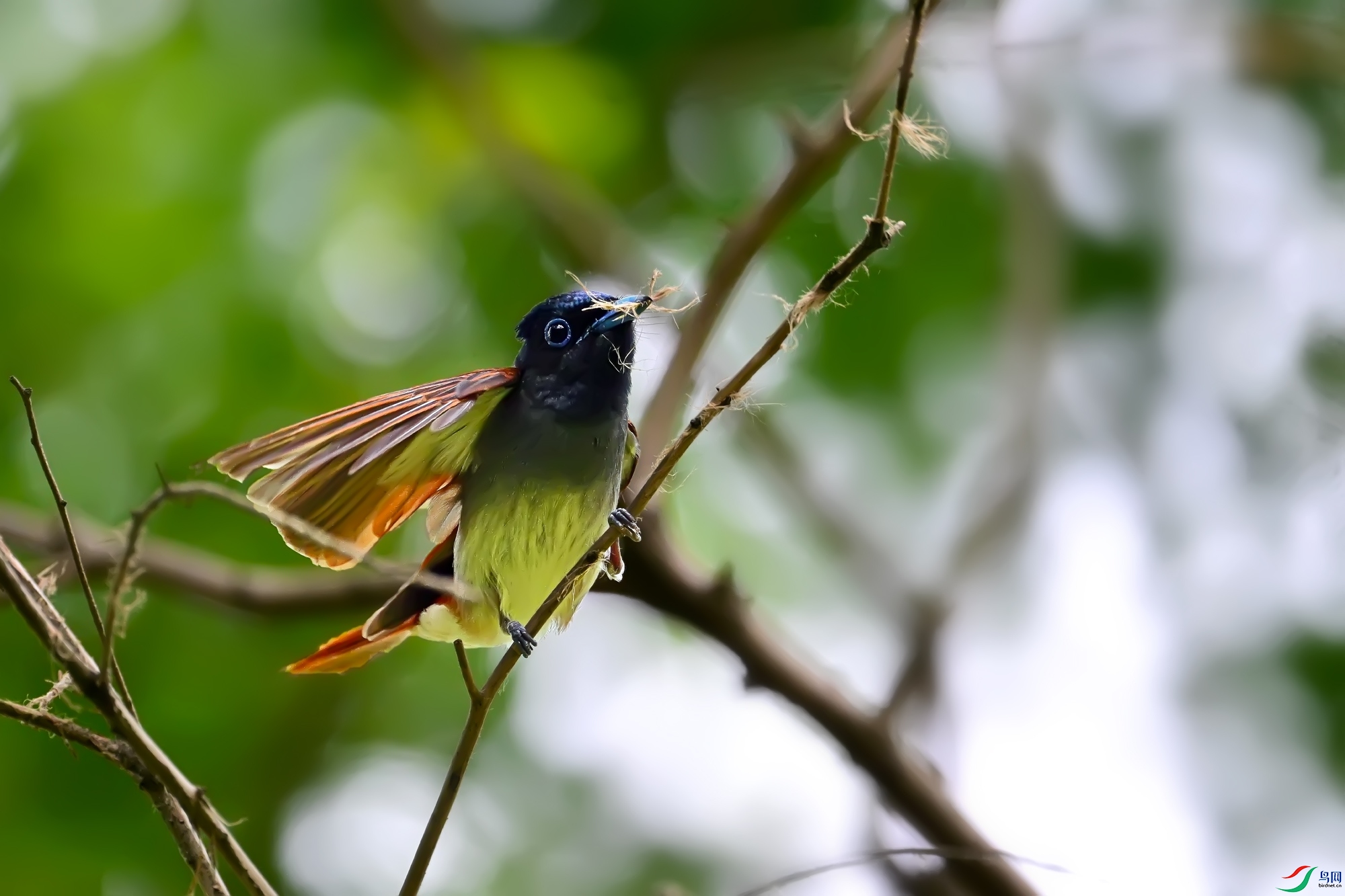 DSC_5994.jpg