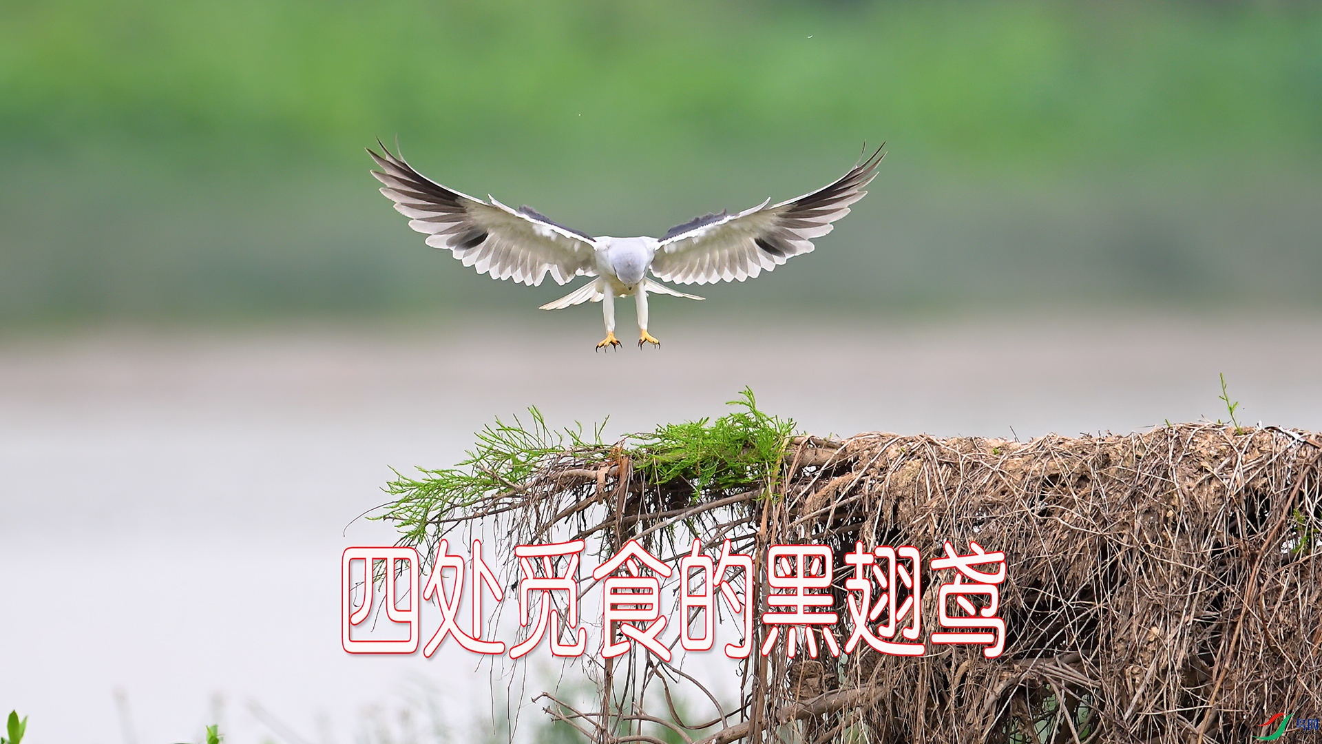 �ڳ��.00_00_08_11.jpg