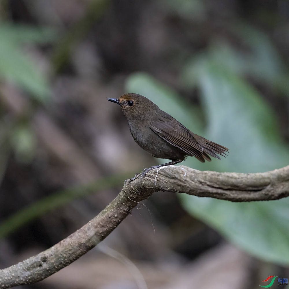 2F5A5470-2 ����.jpg2.jpg