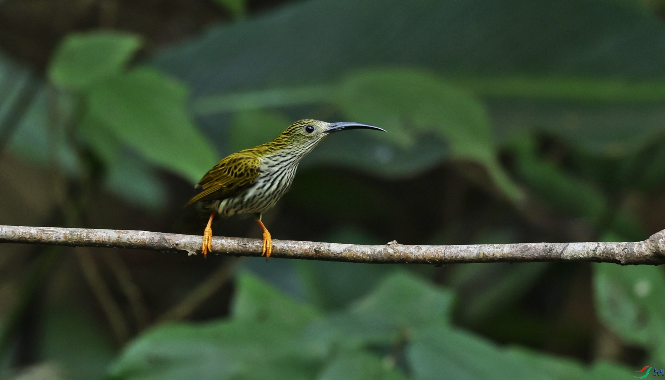 2F6A7082_����.jpg