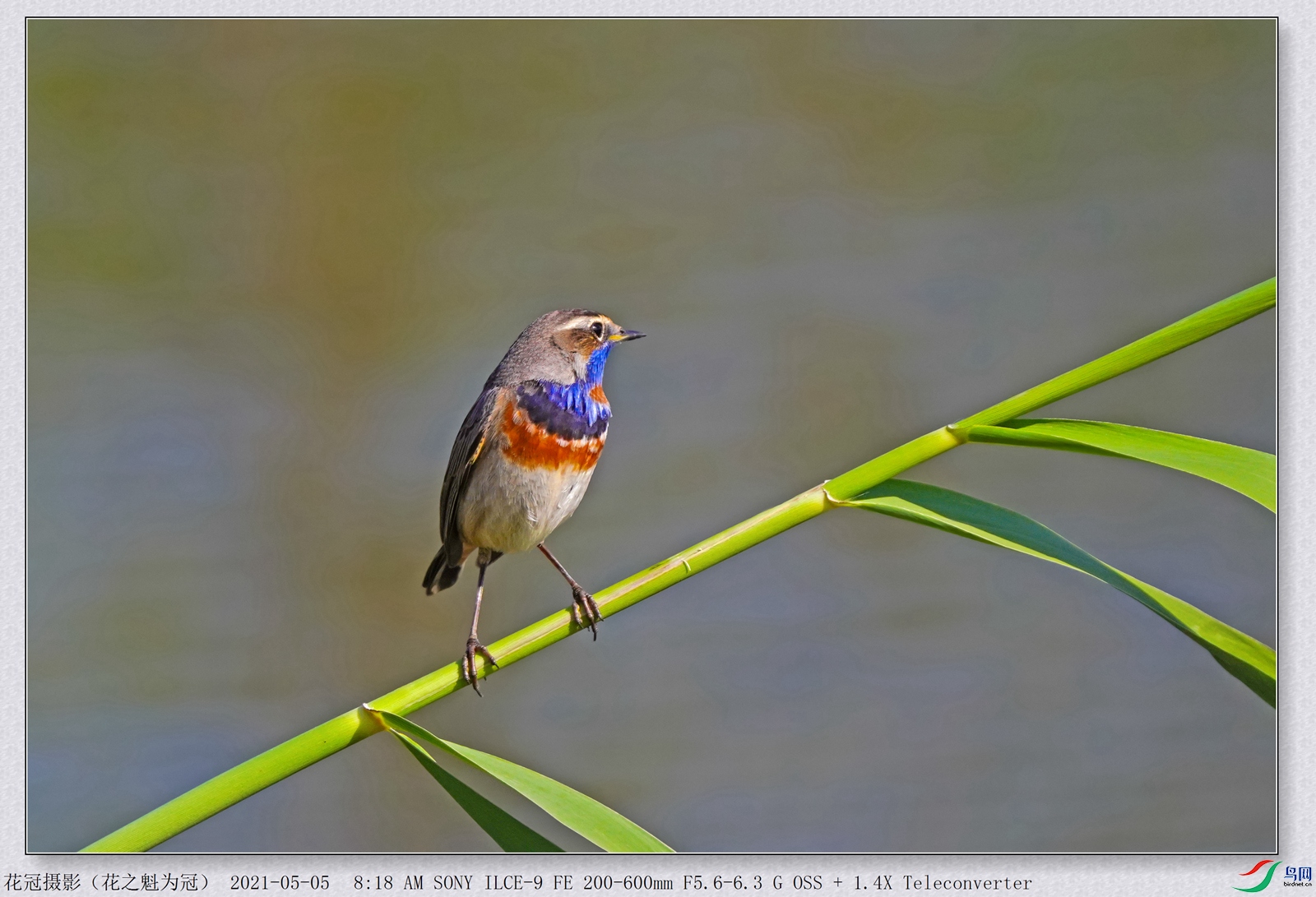 DSC05173B-2_����_����.jpg