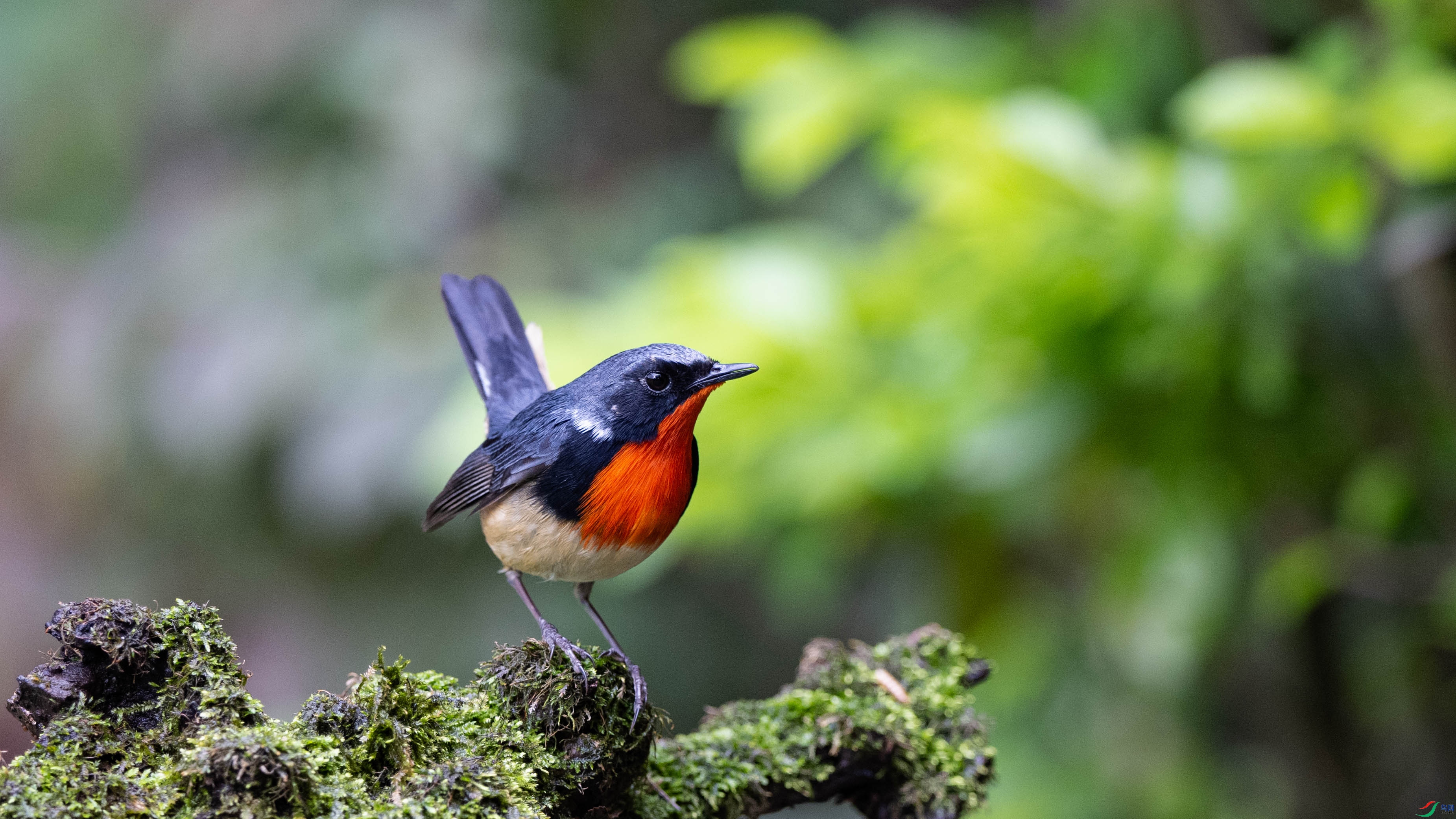 DSC_1714.jpg