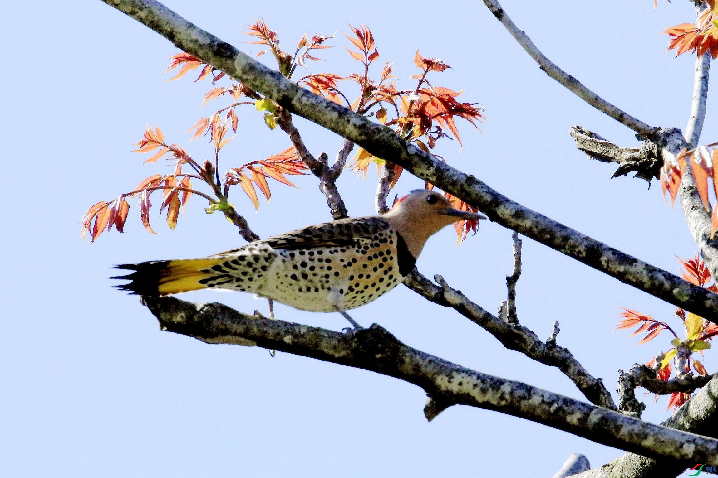 ���˳��� 03.jpg