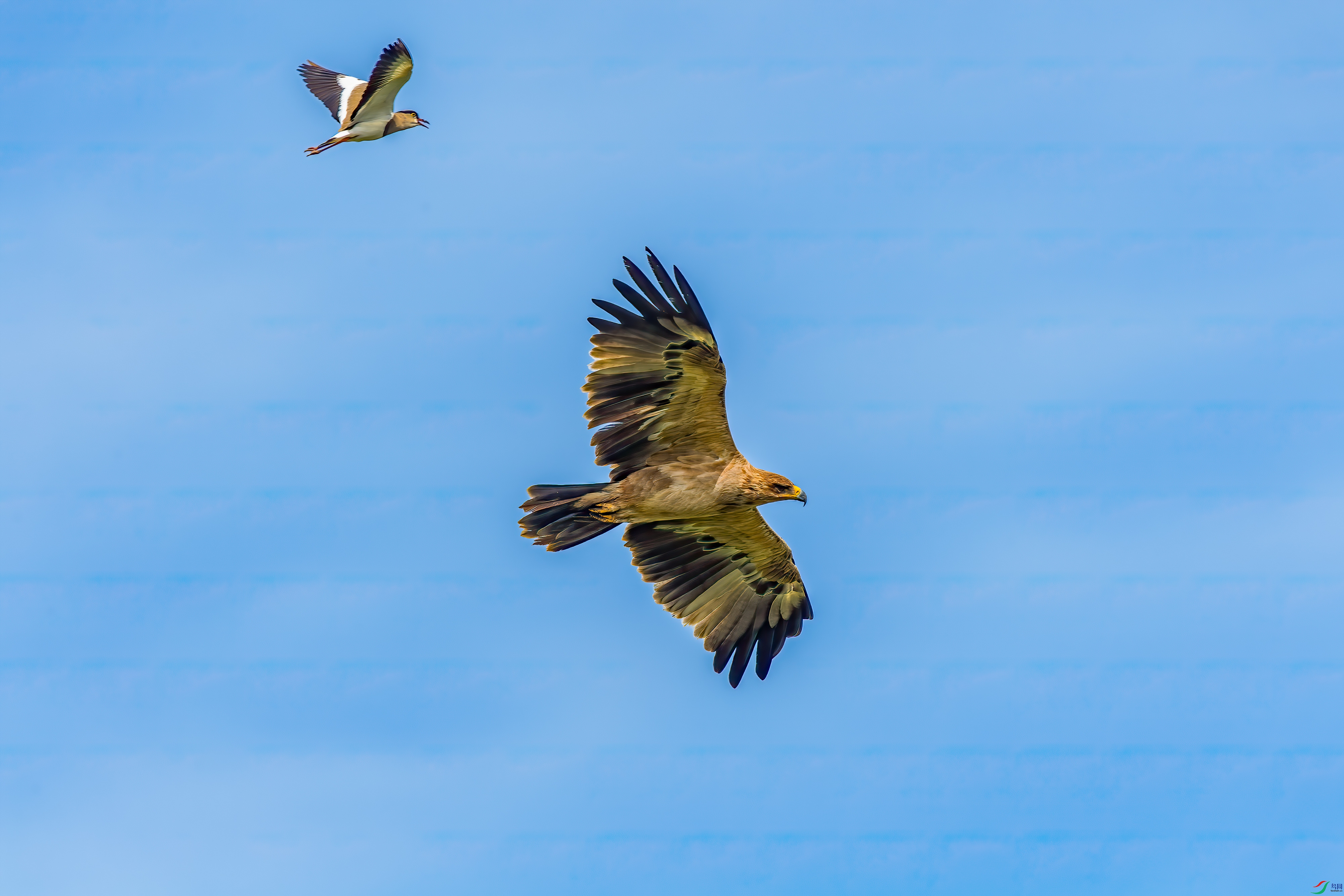 DSC_7607.jpg