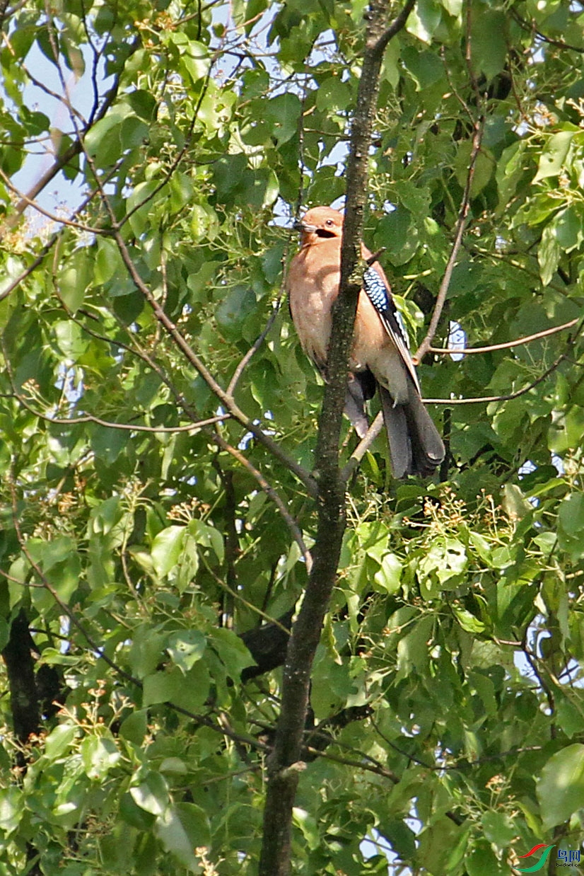 IMG_9400.JPG