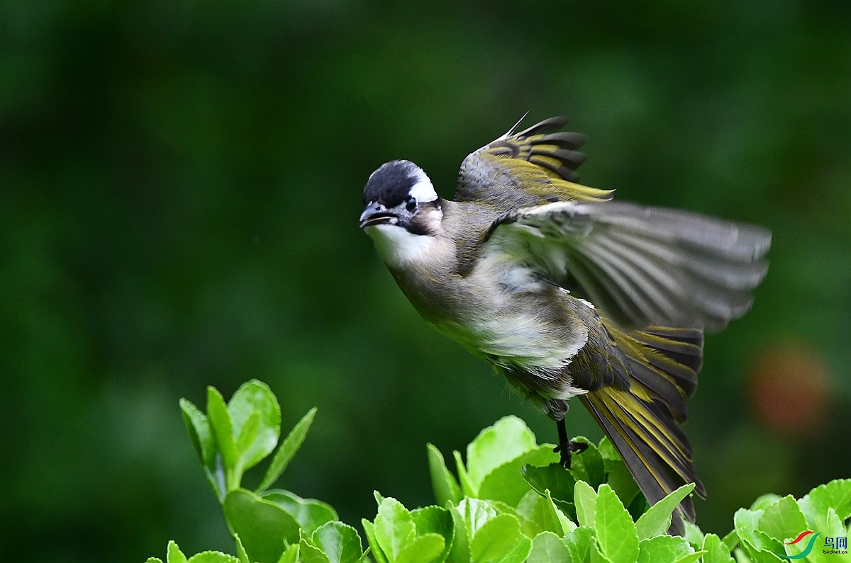 DSC_3891.JPG