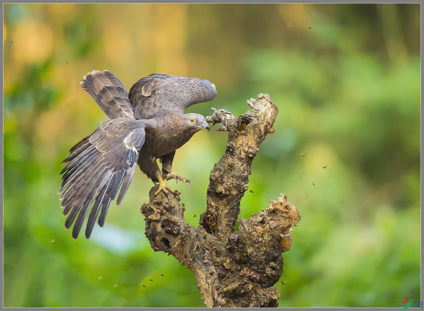��DSC_8513.jpg