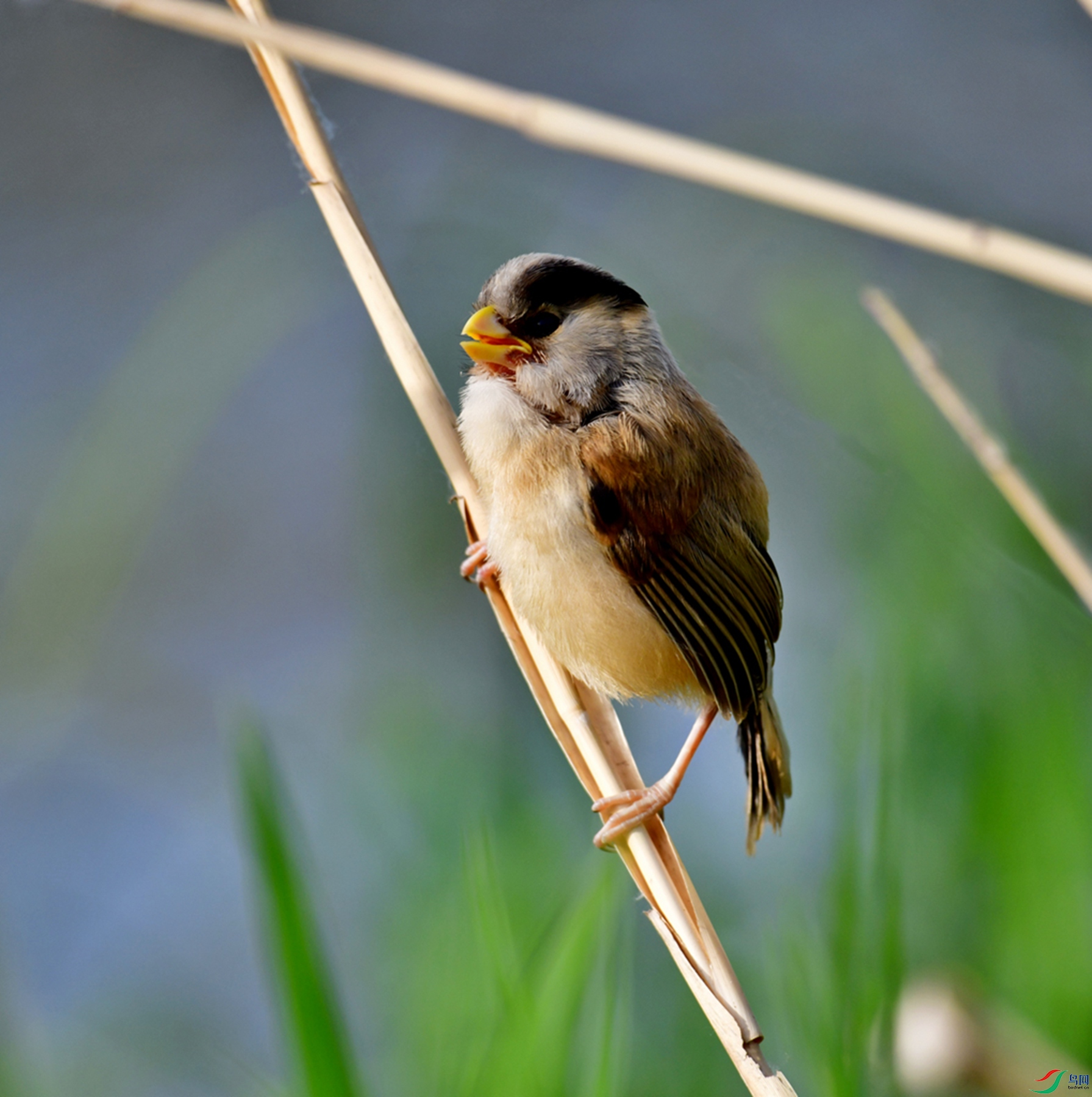 DSC_5878.jpg