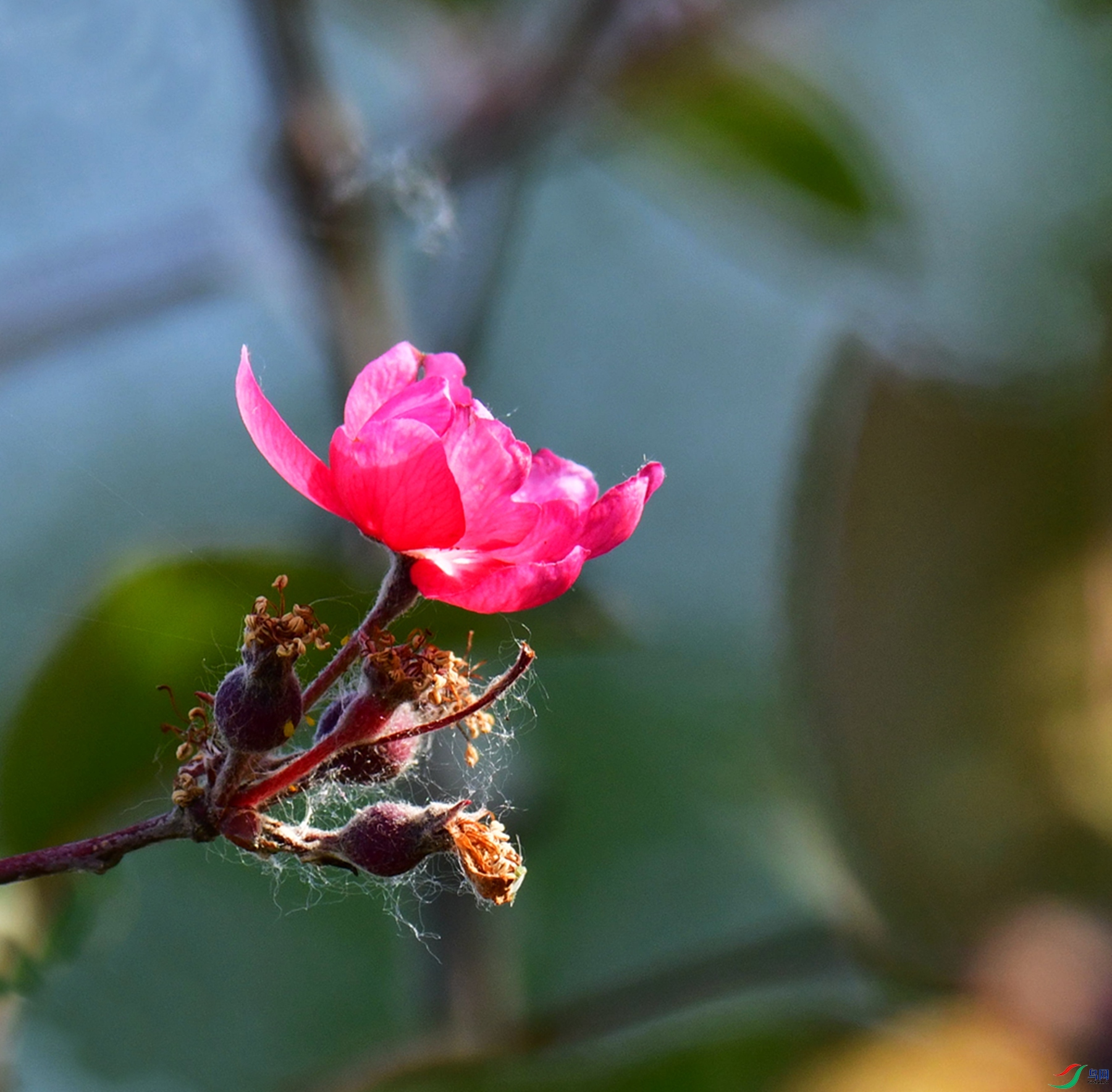 DSC_5895.jpg