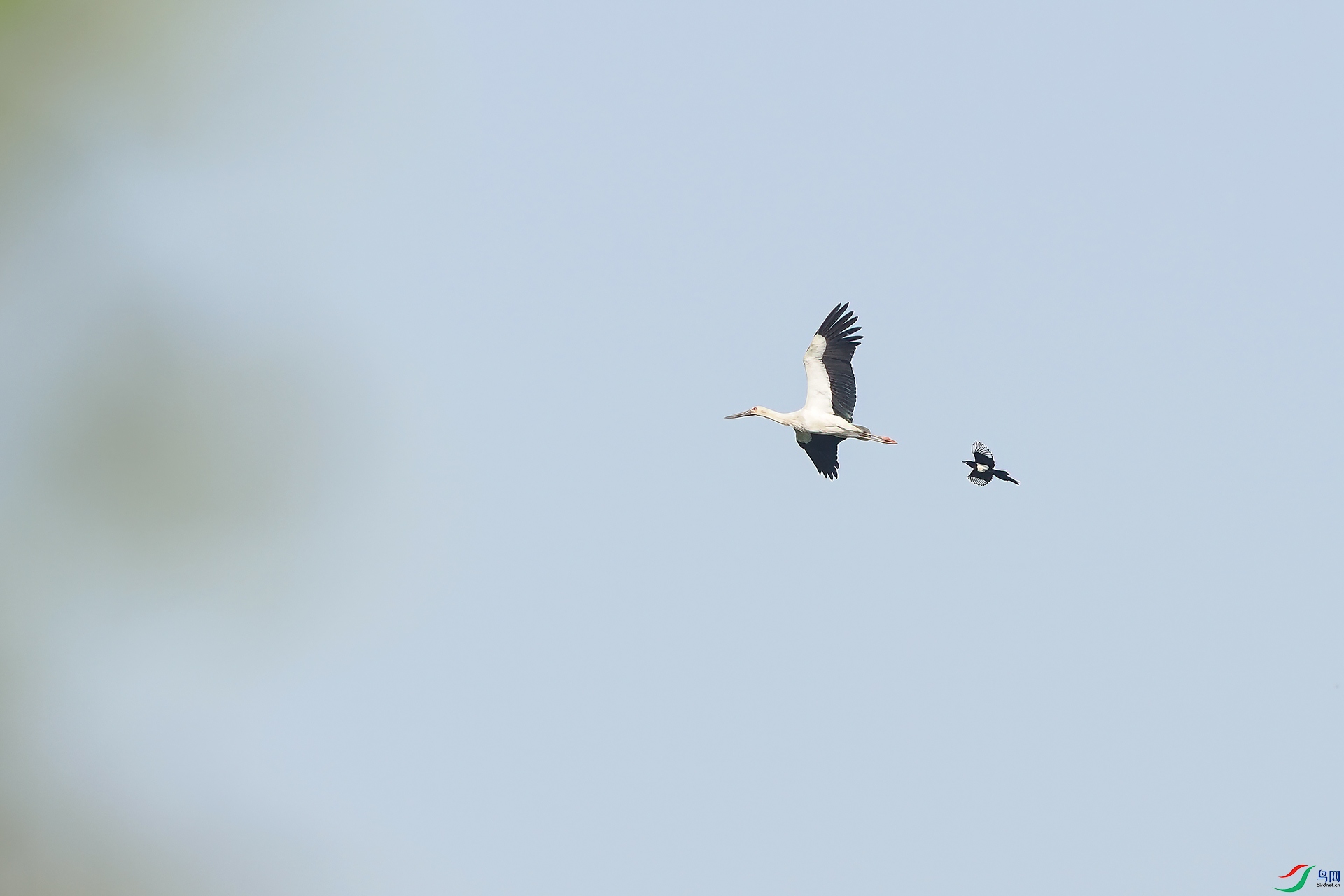 P4170456.jpg