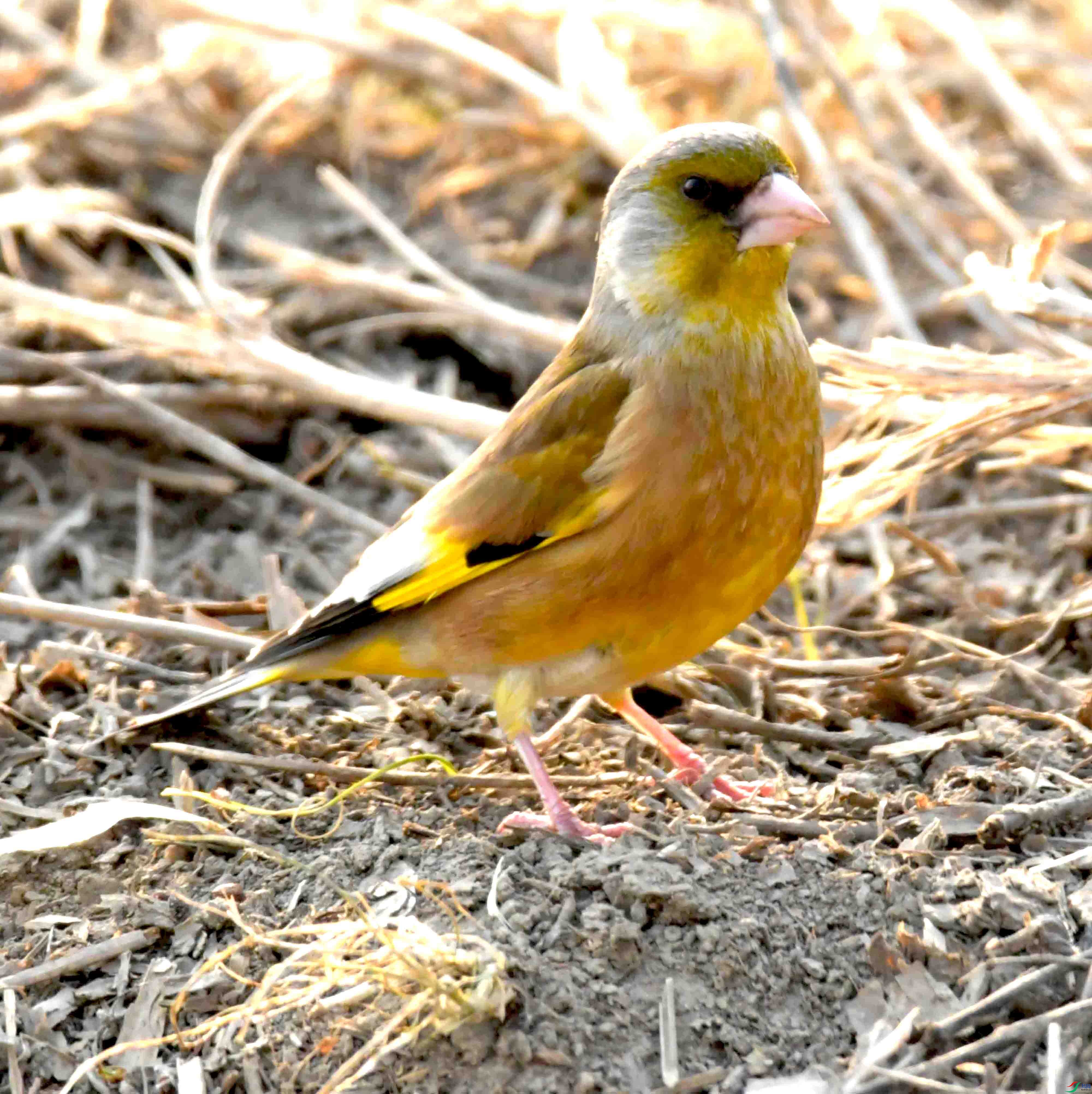 DSC_0354.JPG
