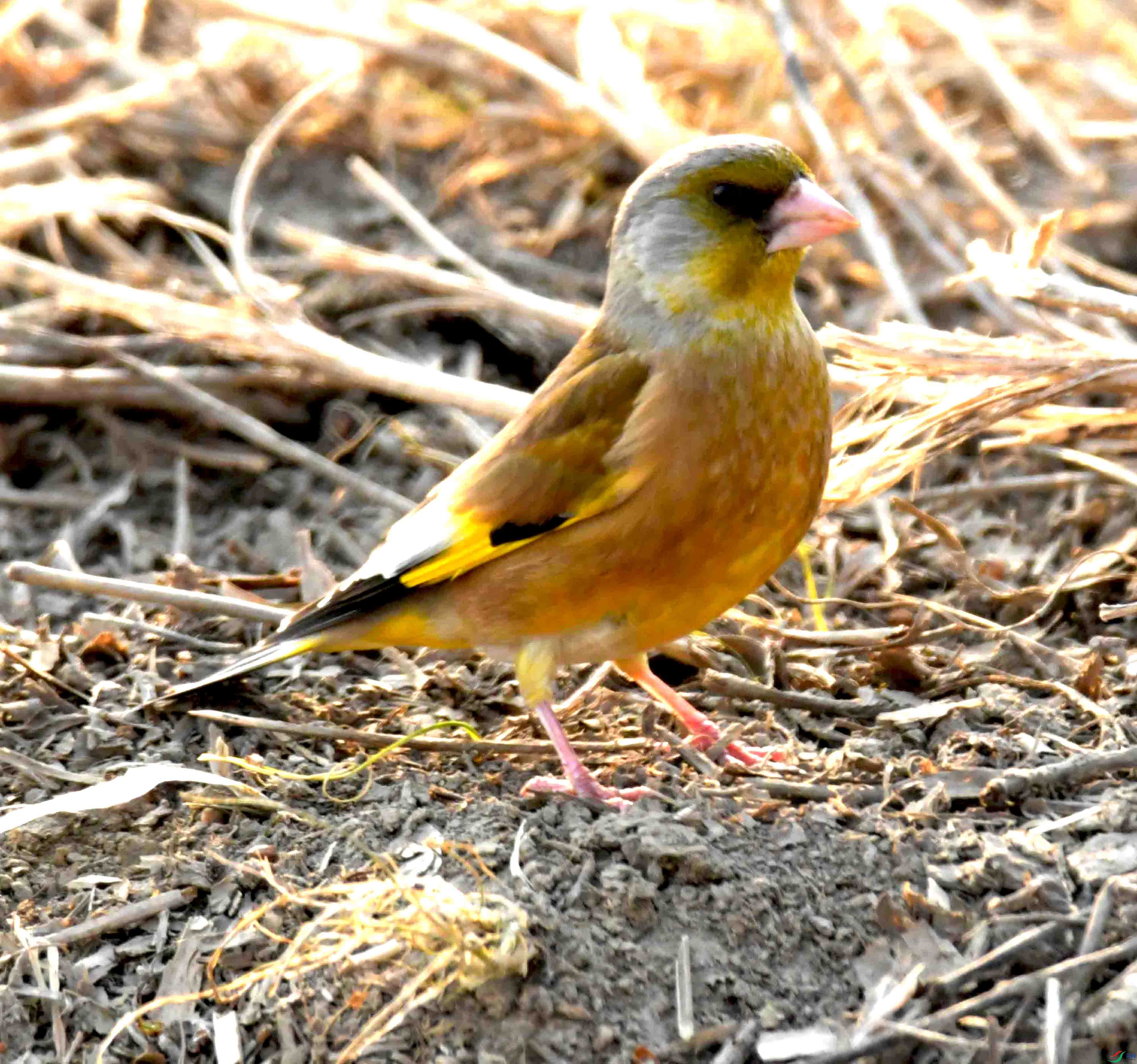 DSC_0355.JPG