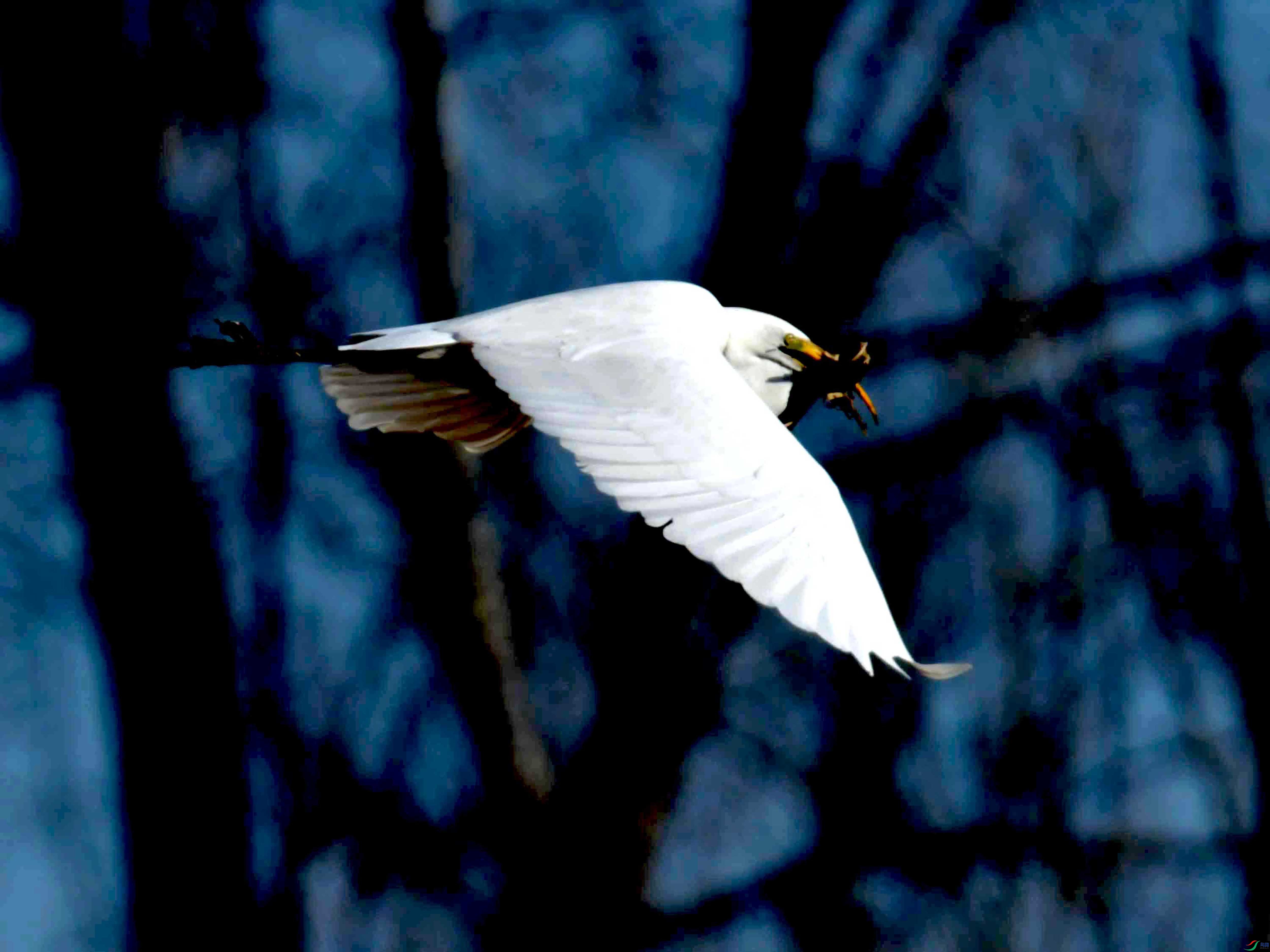 DSC_2739.JPG