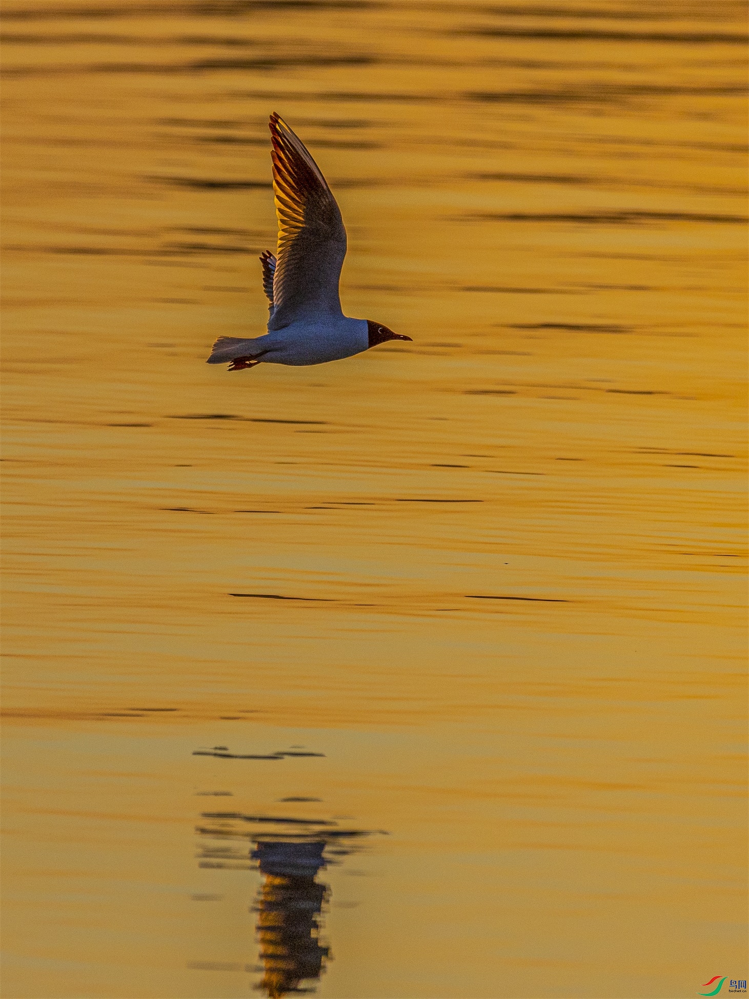 1K3A4589 ����1.jpg