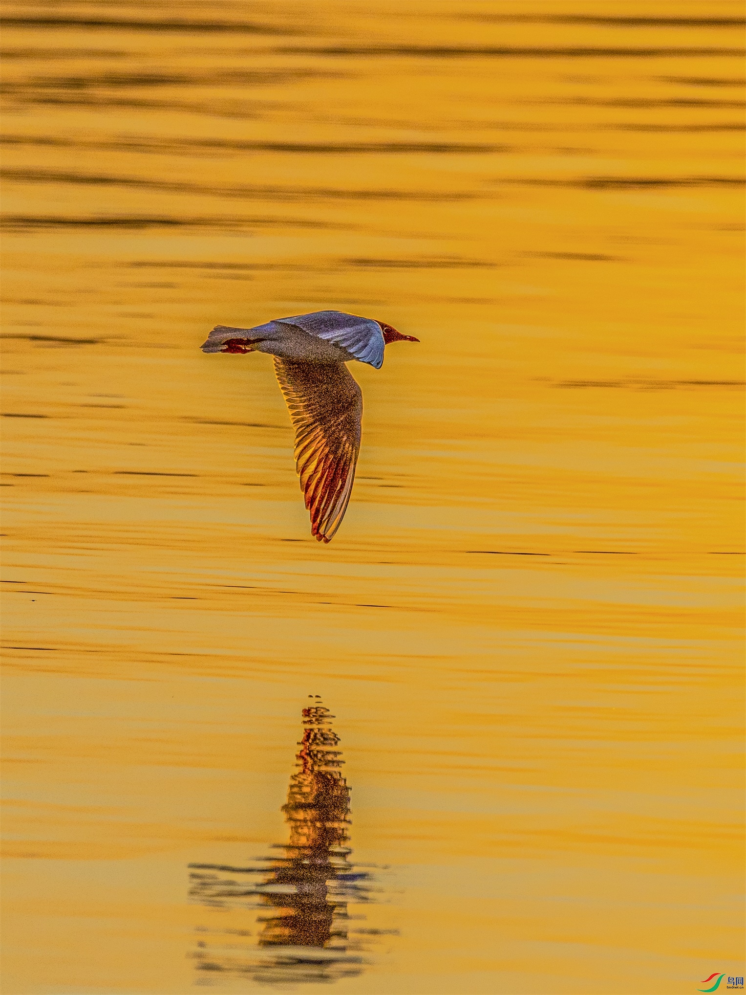 1K3A4591 ����1.jpg