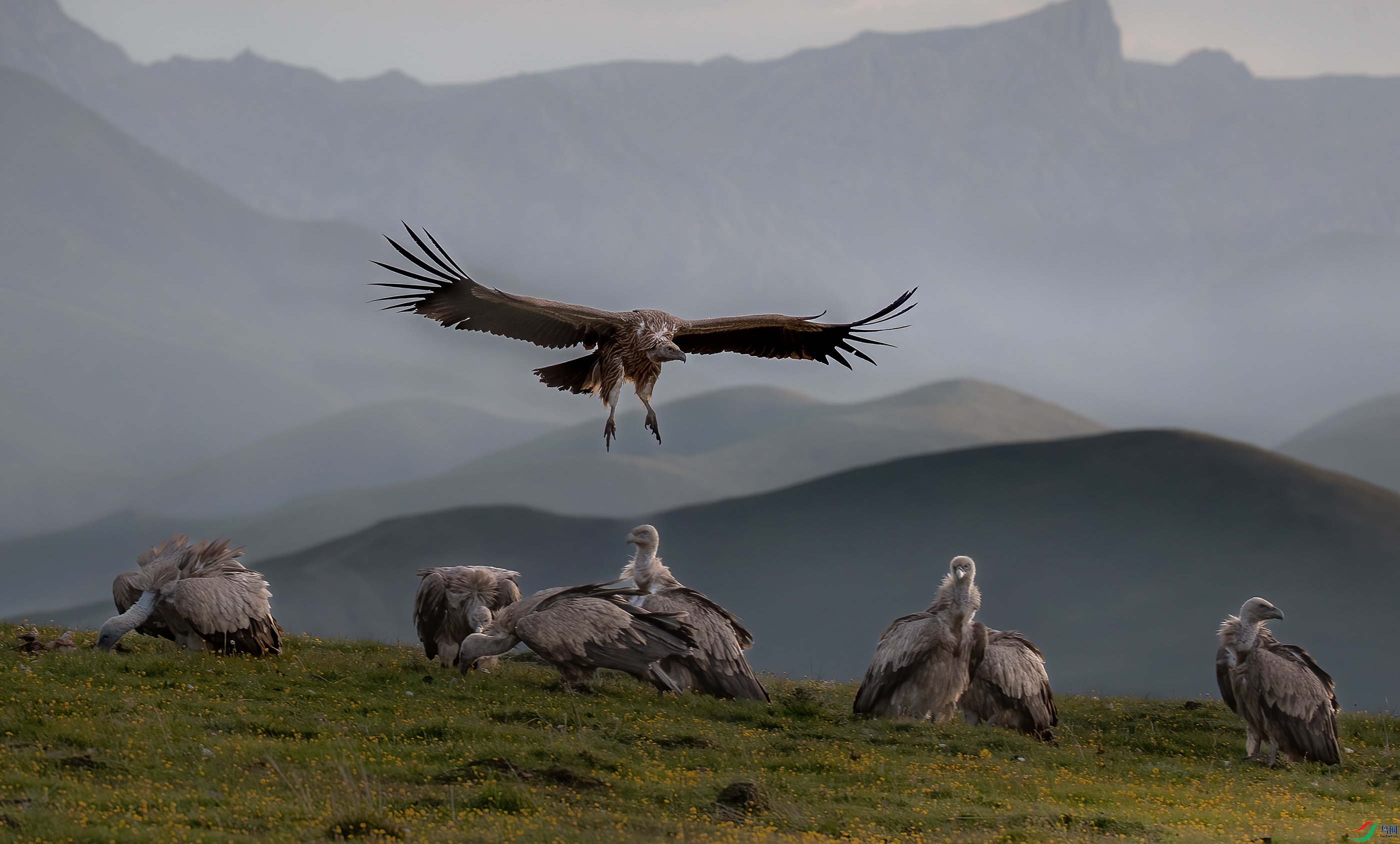 AY8I0910 ����.jpg