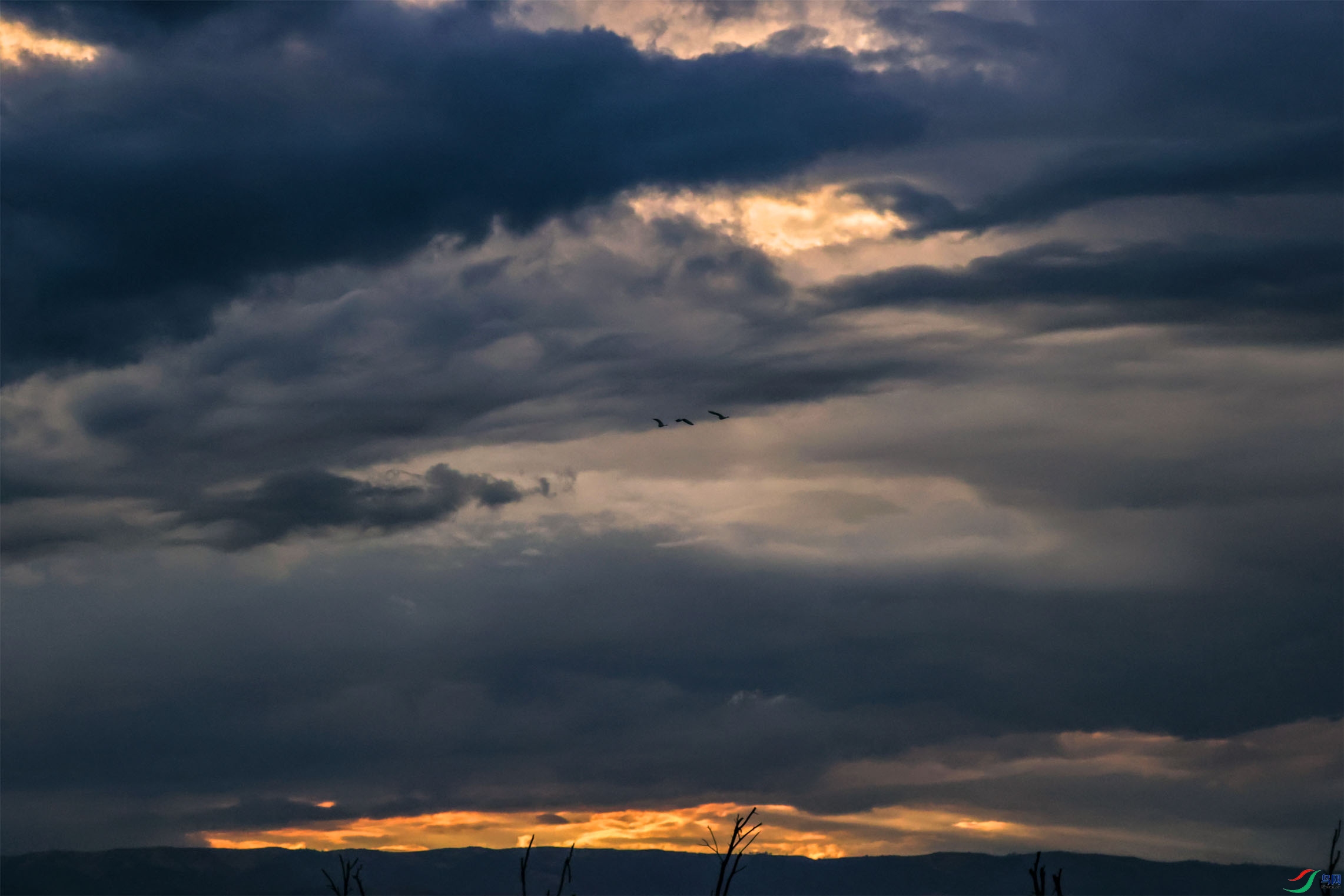 �����������0 ����.jpg